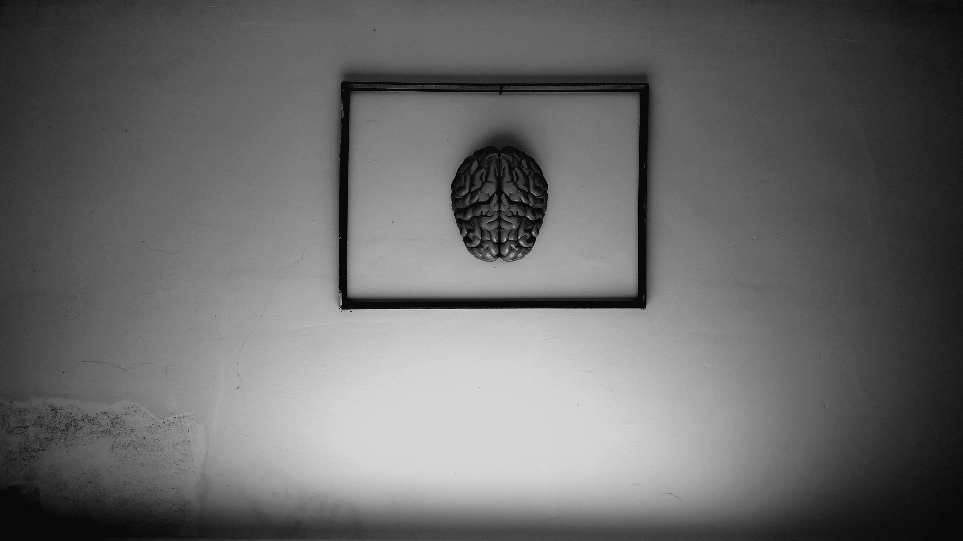 Borders exist only in the minds