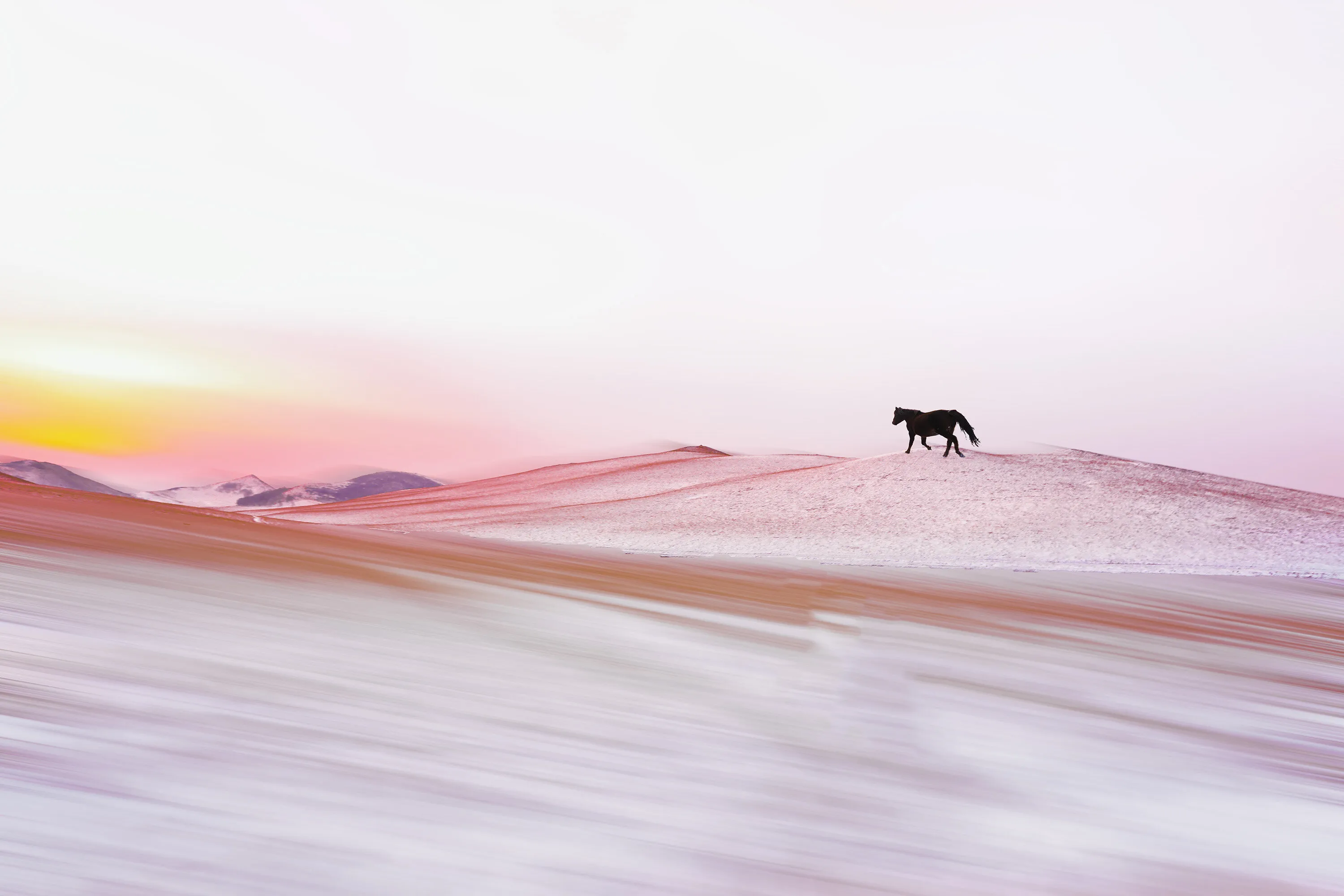 running to sunset