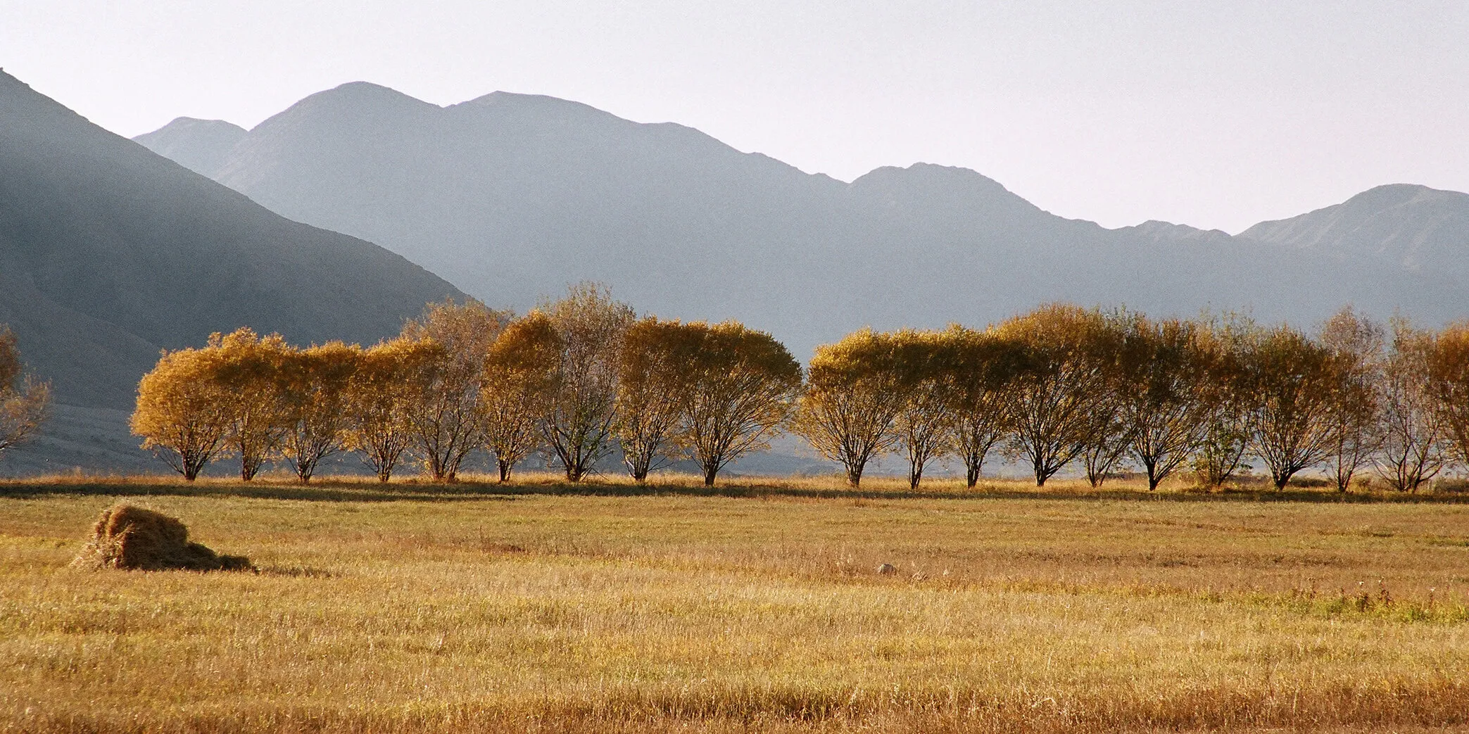 Autumn landscape