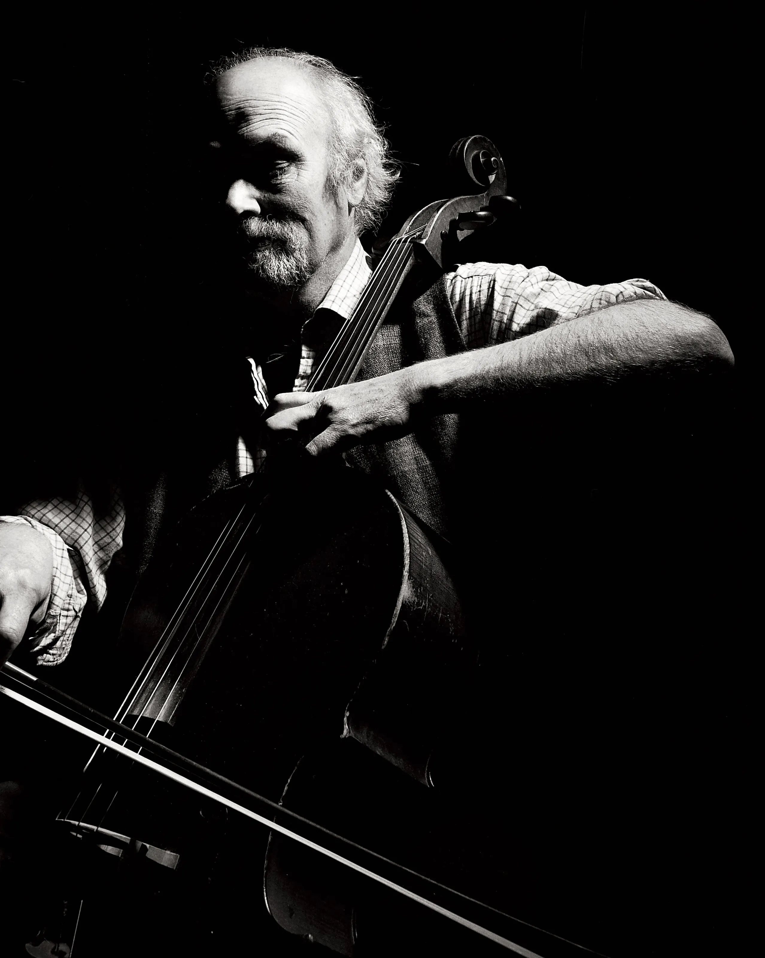 Tim The Cello Player