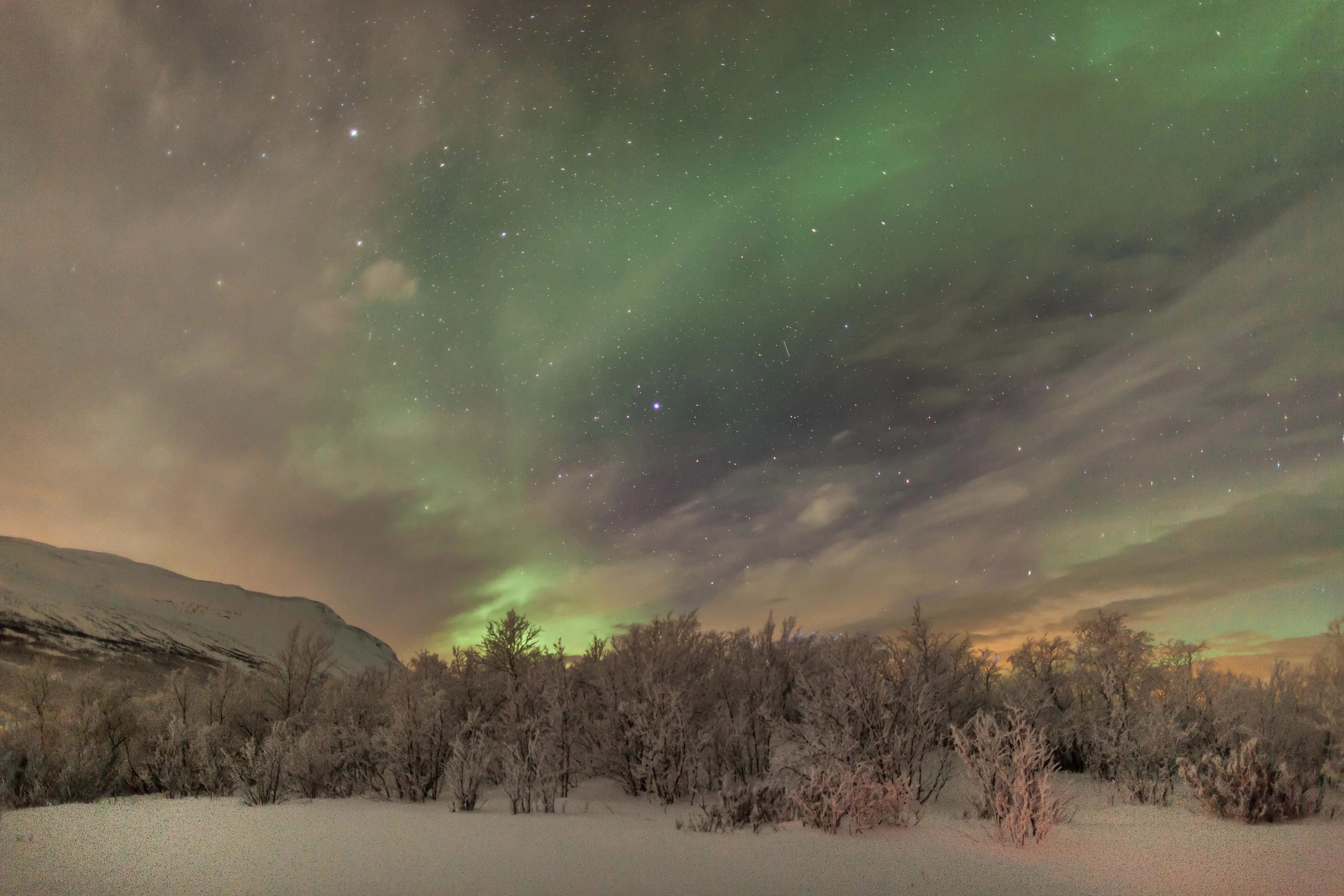 Aurora