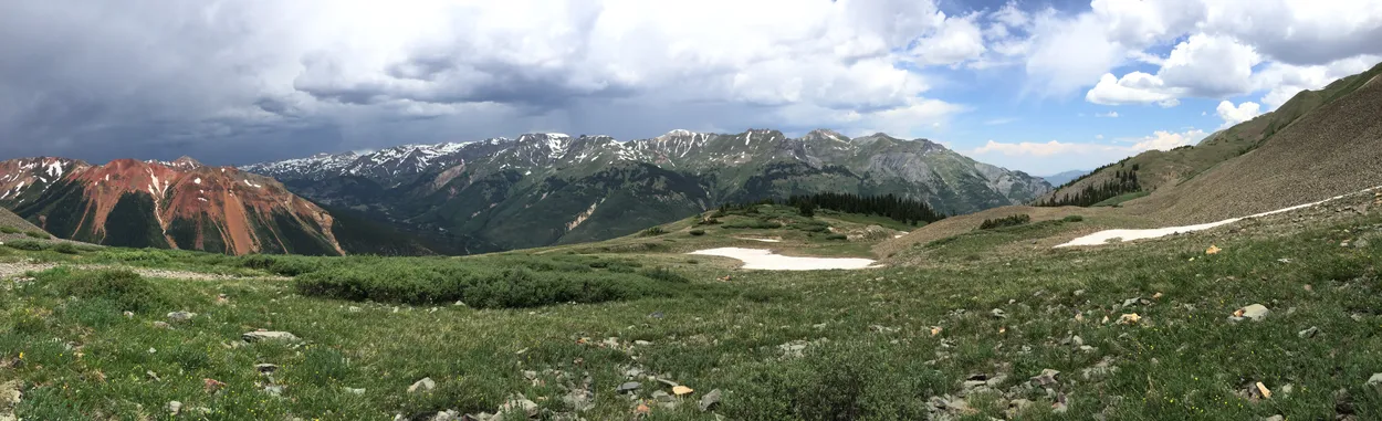 Entry 2006715