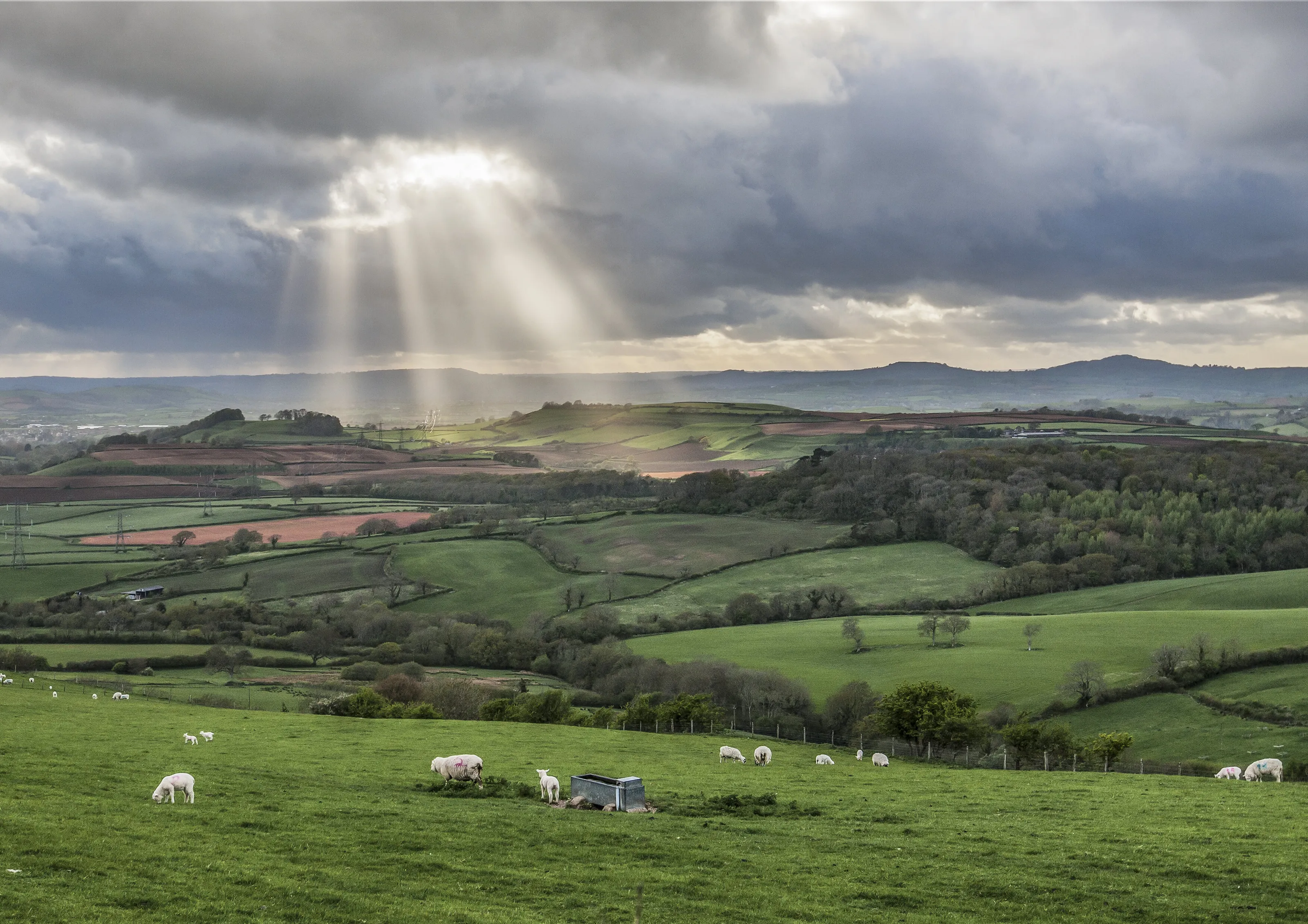 Eggardon sunbeams