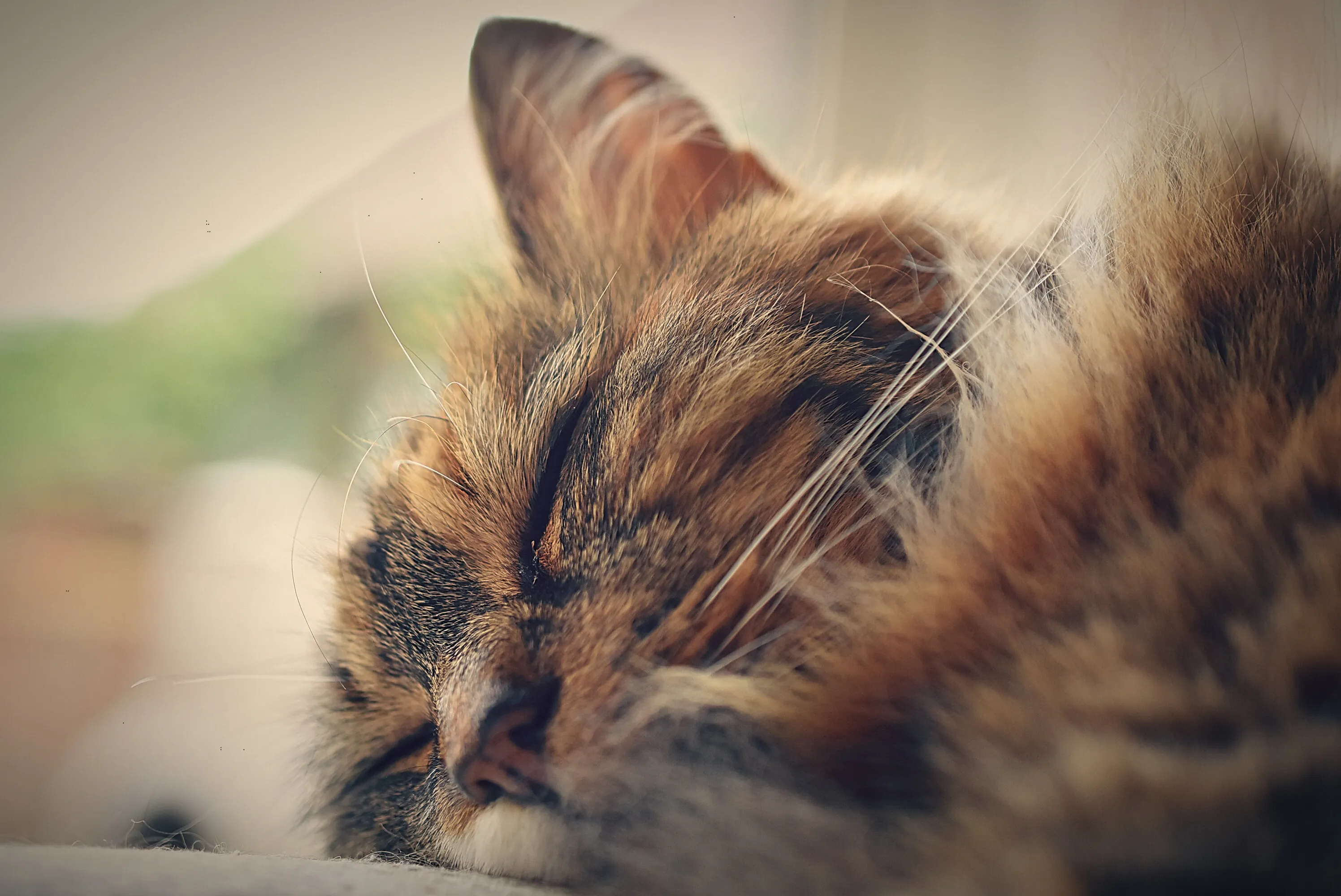 Time To Snooze