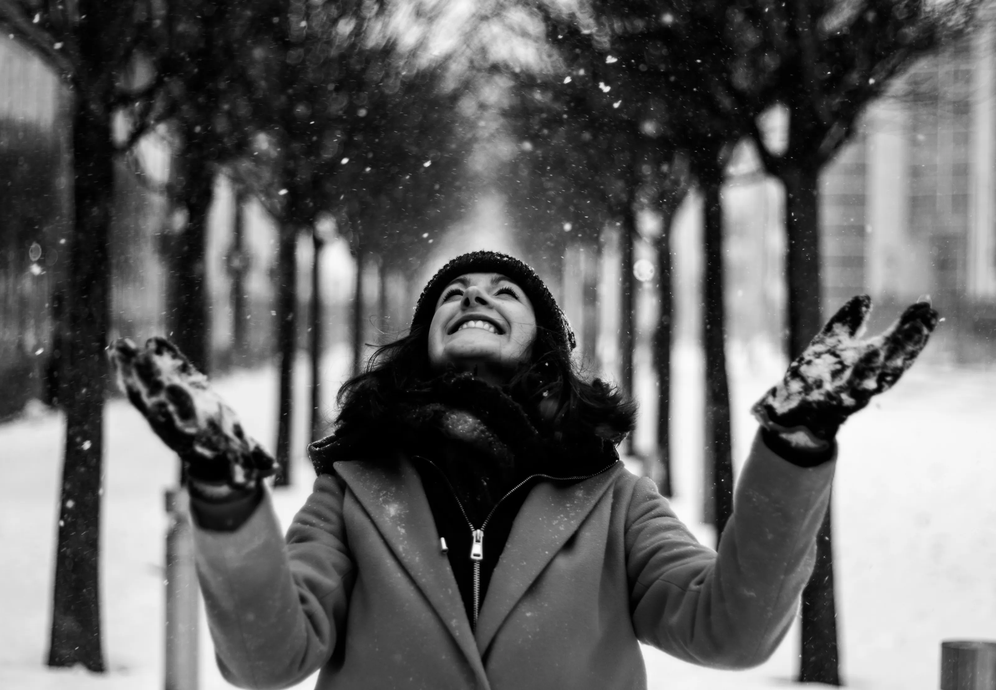 Snowfall