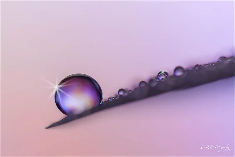 Entry 2012679