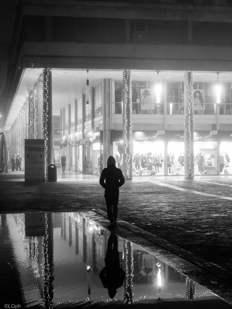 Entry 139576