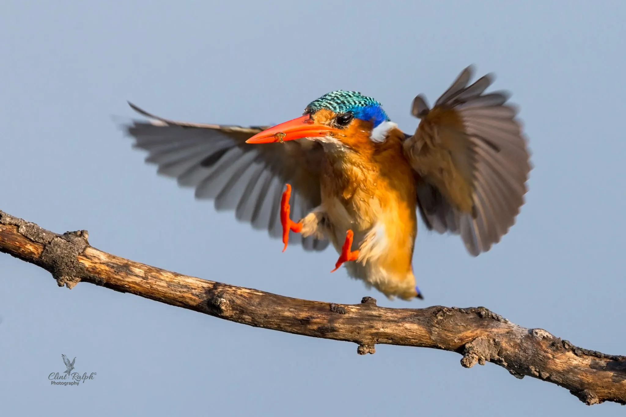 Landing