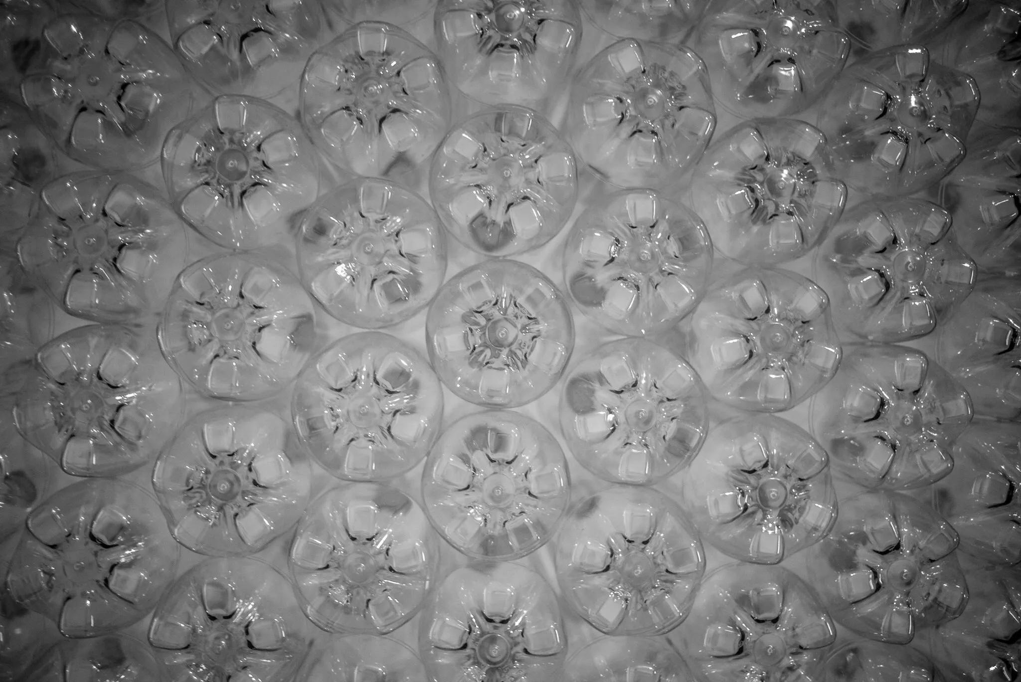 Pet bottles