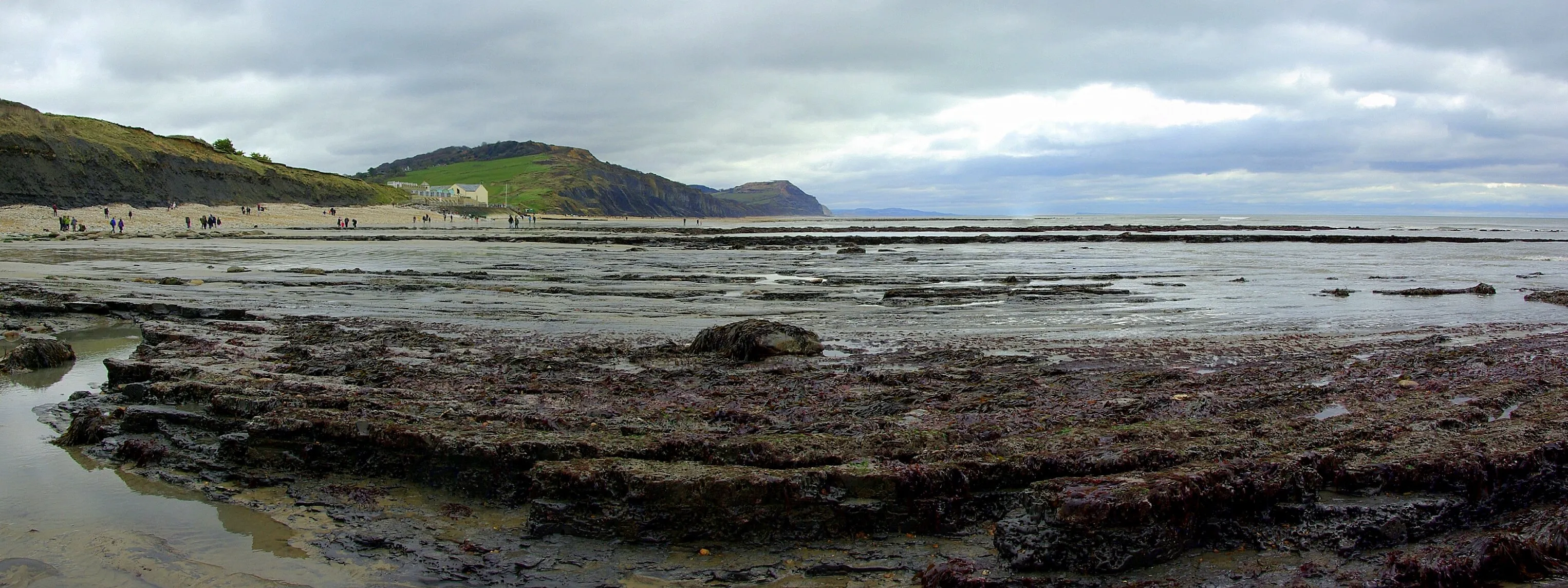 low tide