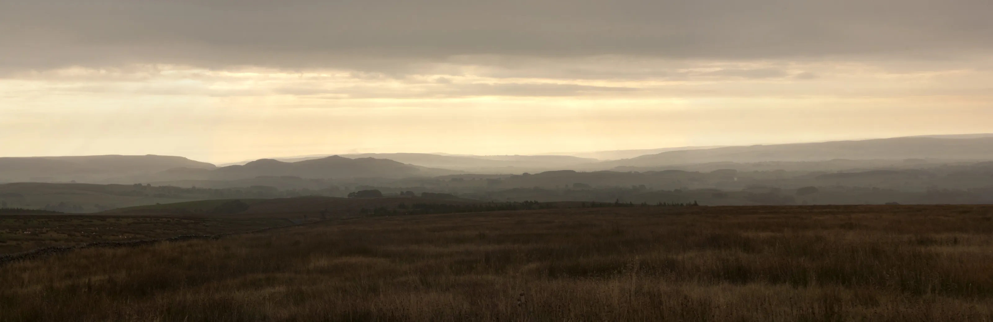 The Dales