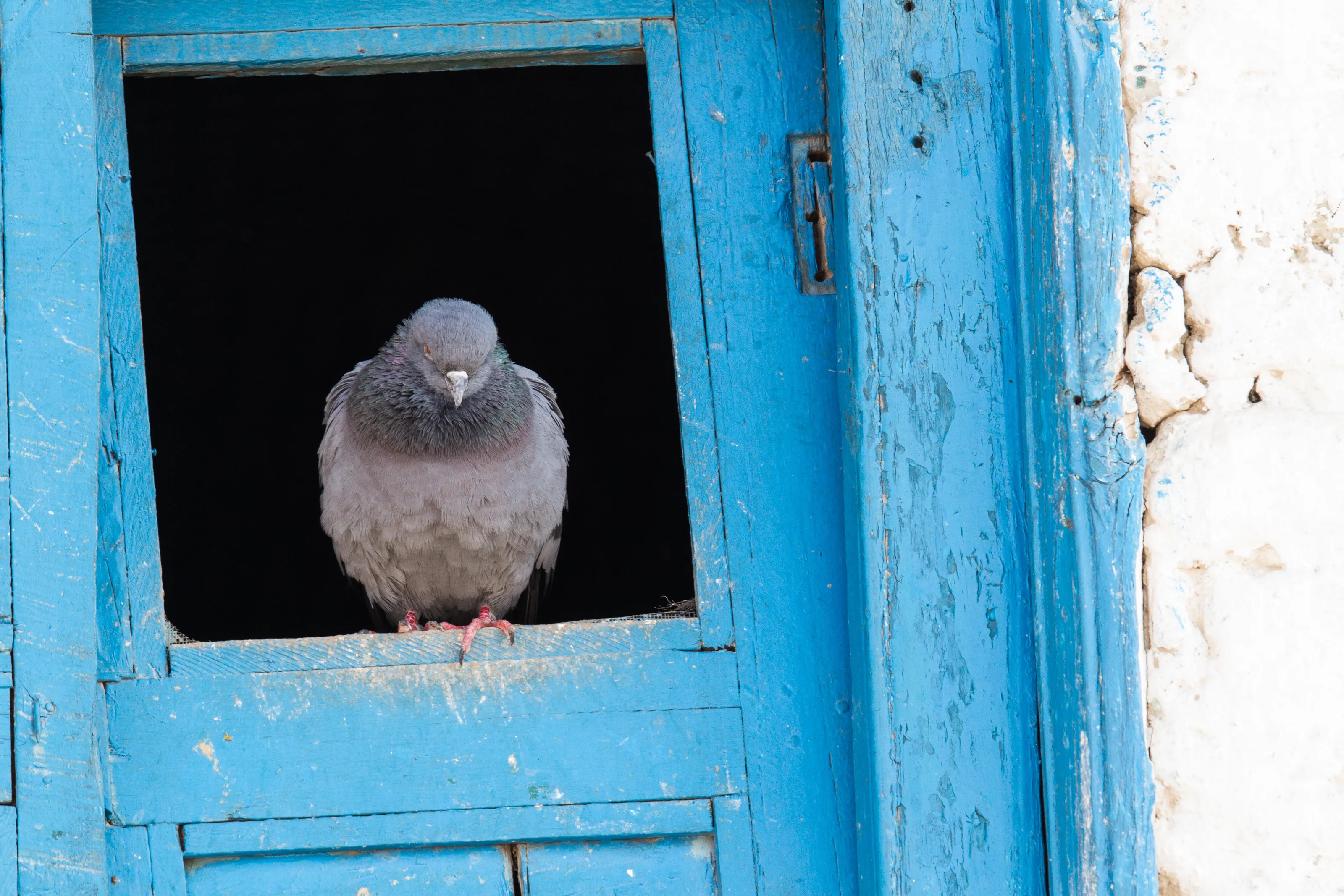 Through the square window....