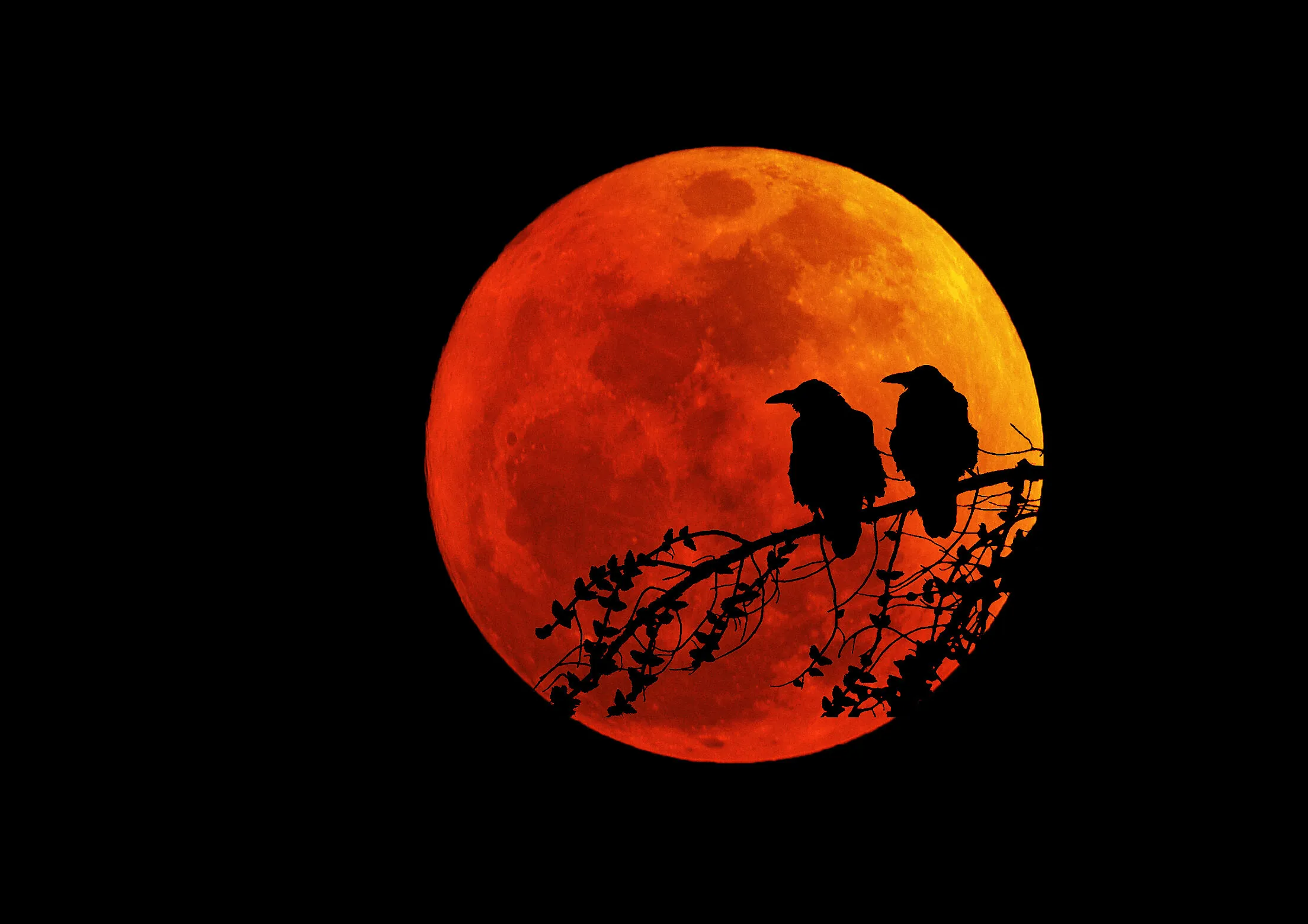 Lunar melody