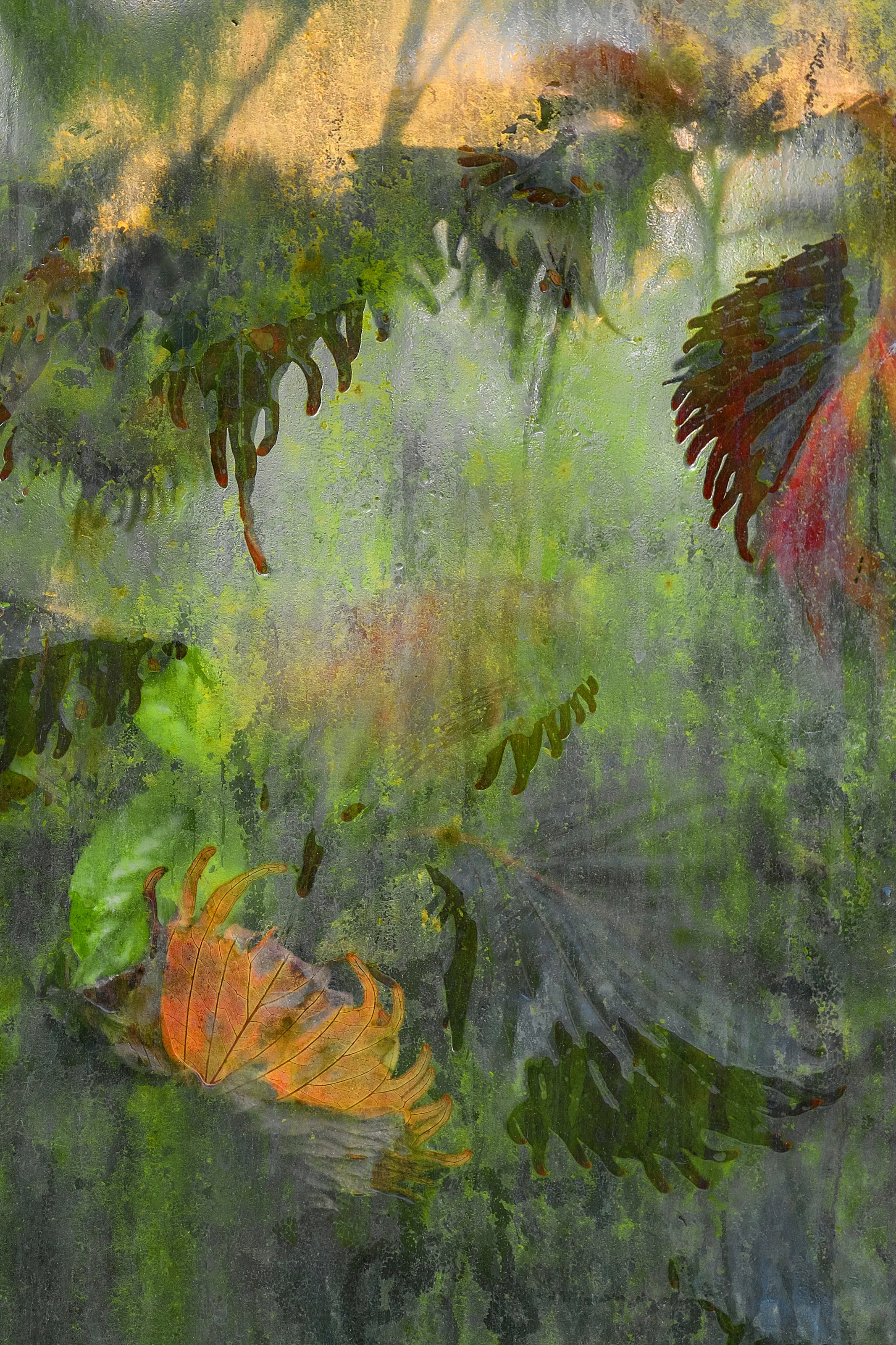 Tropical Glasshouse 3