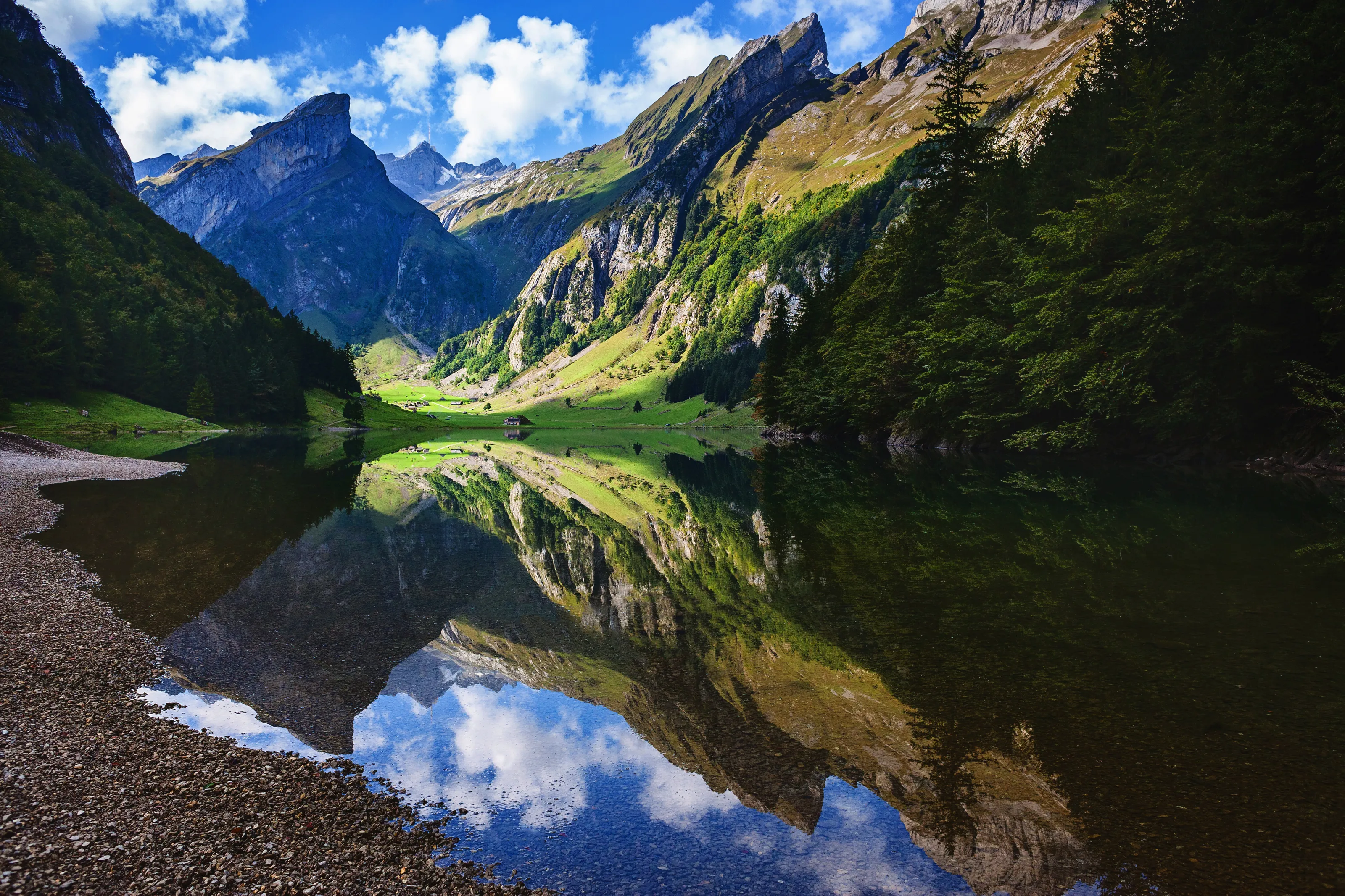 Perfection Reflected