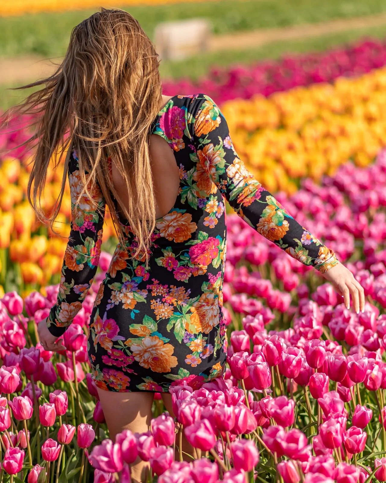 Tulip walk