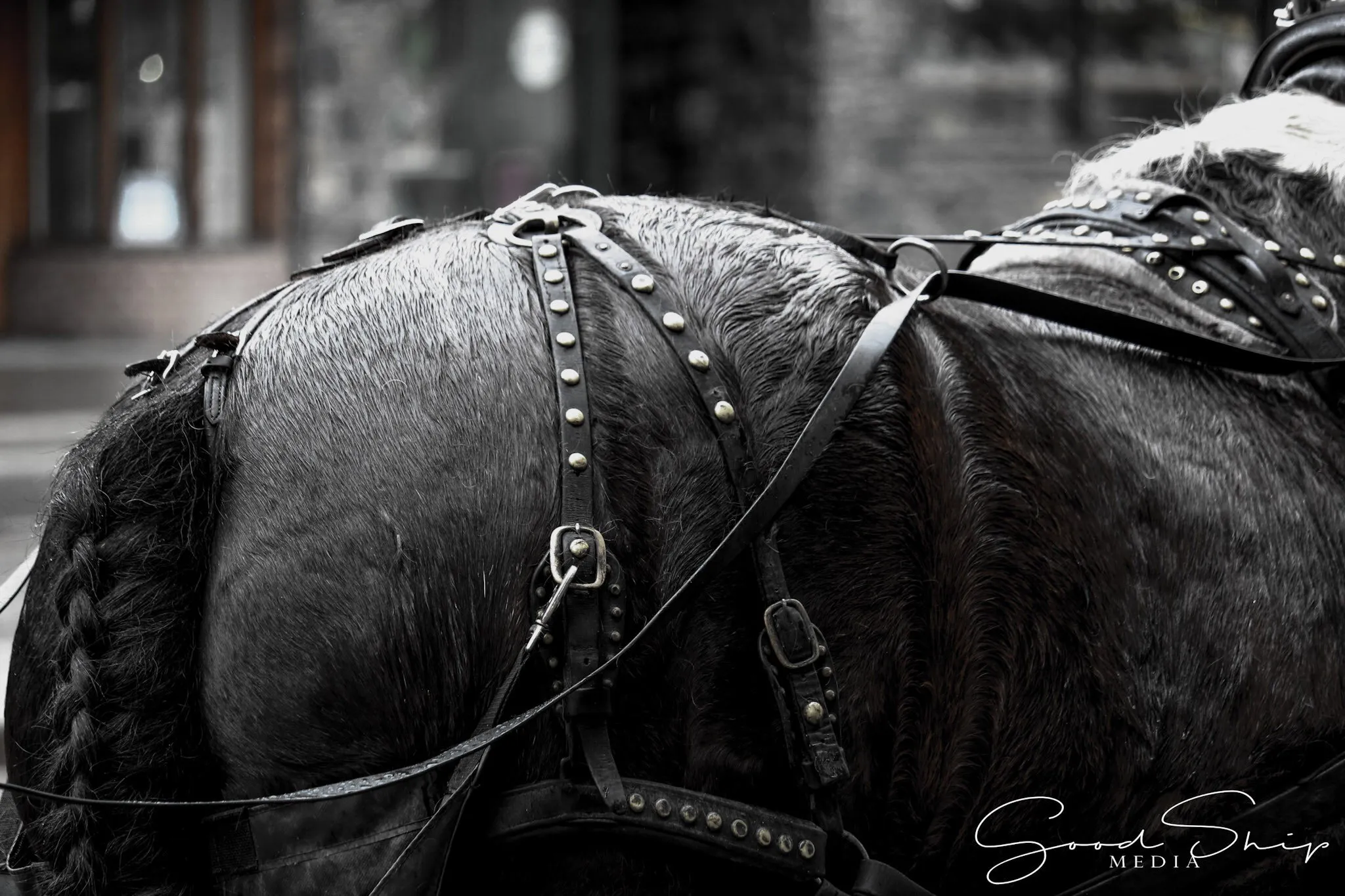 Rainy Day