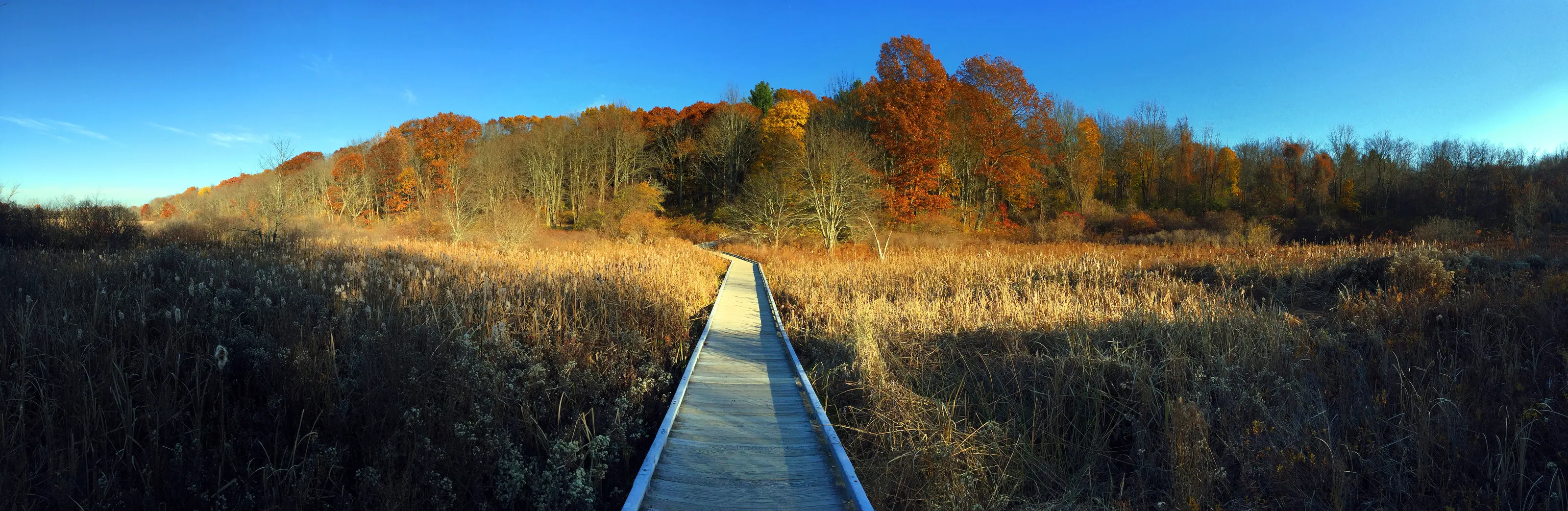 Autumn in New England