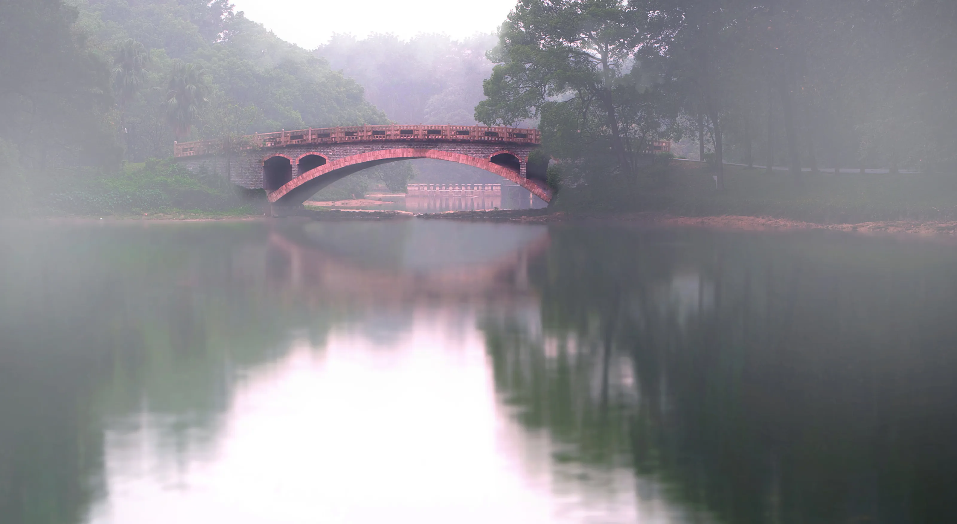 Misty Morning