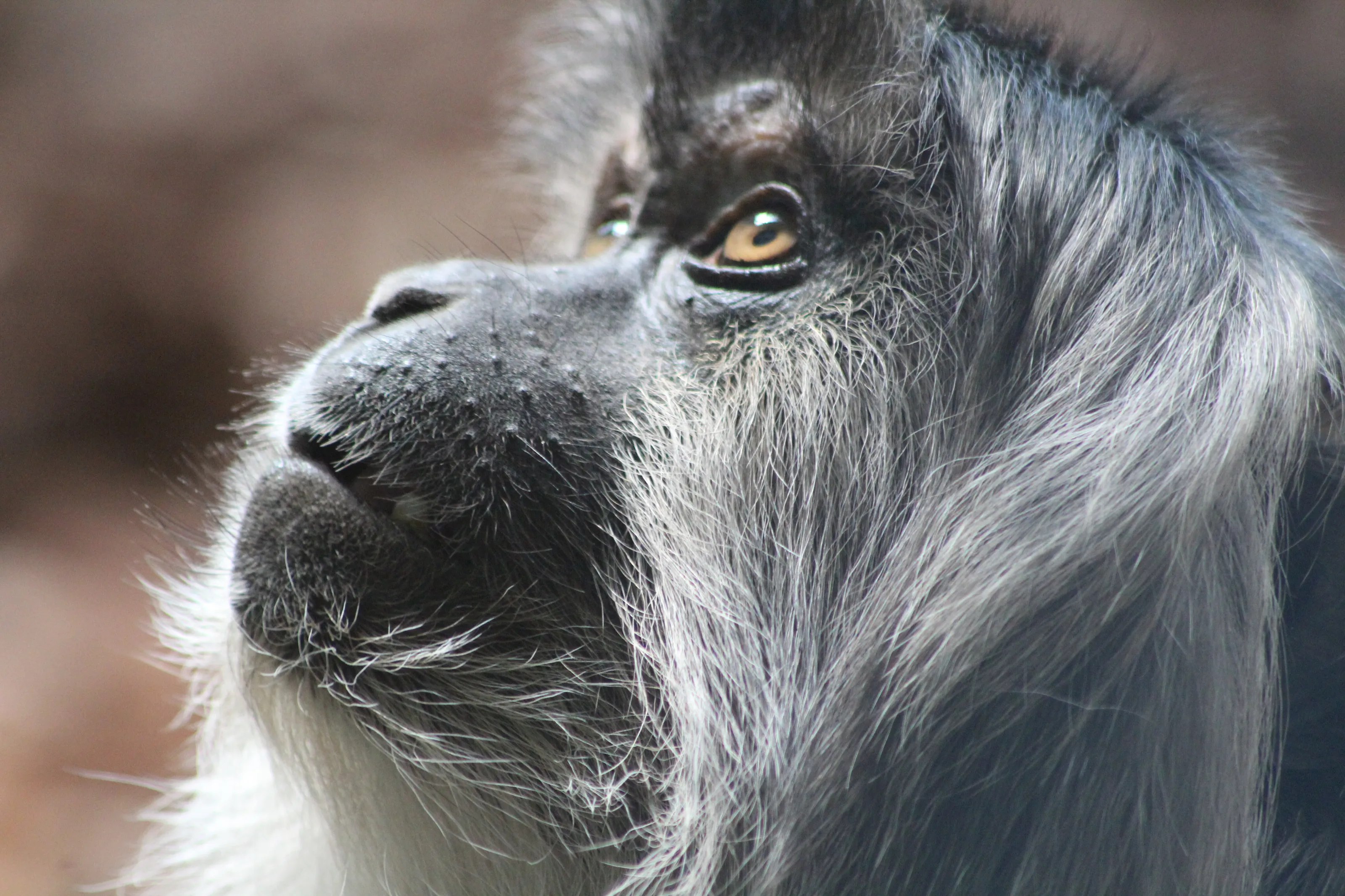 THOUGHTFUL