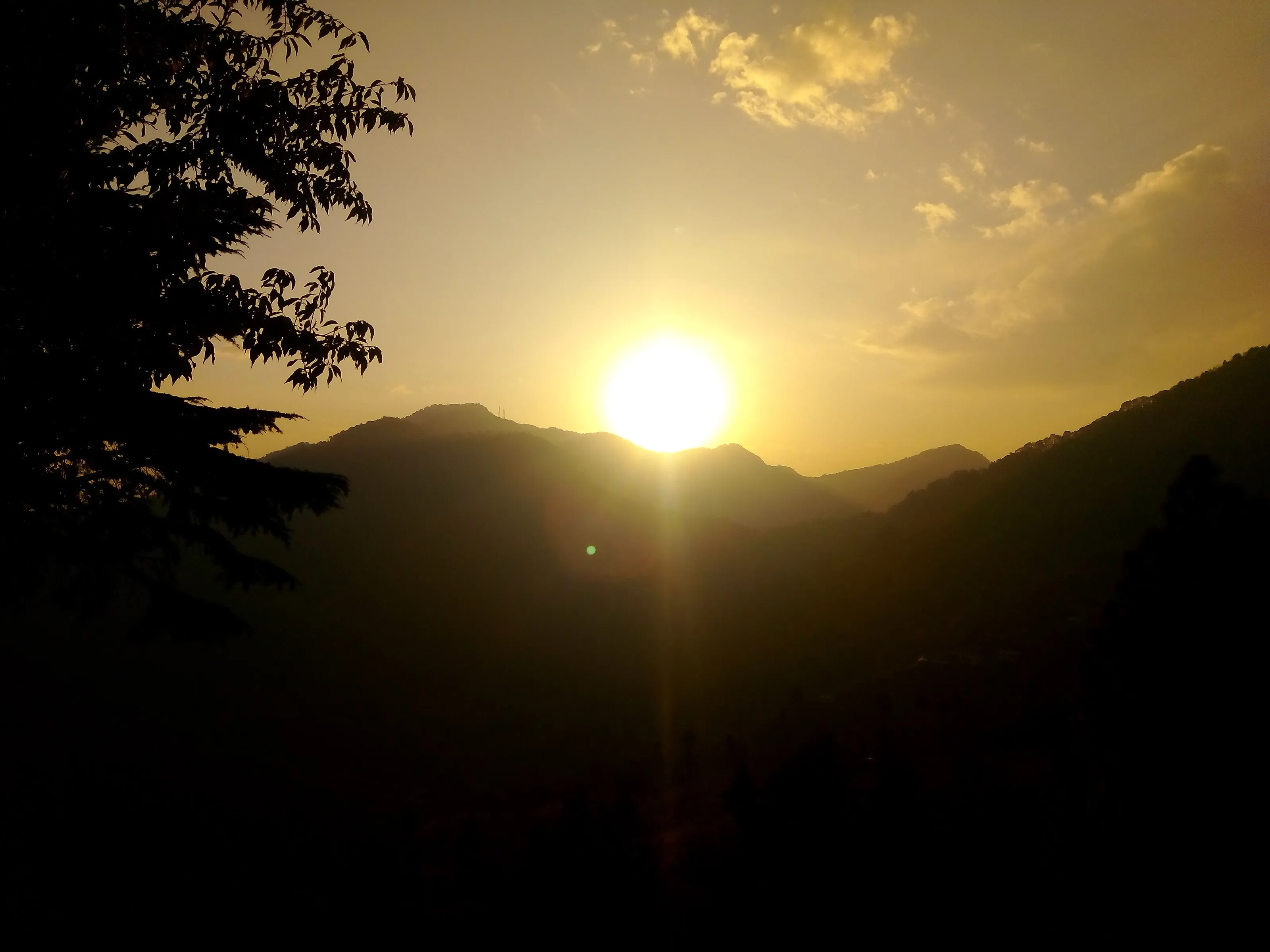 Morning Sun