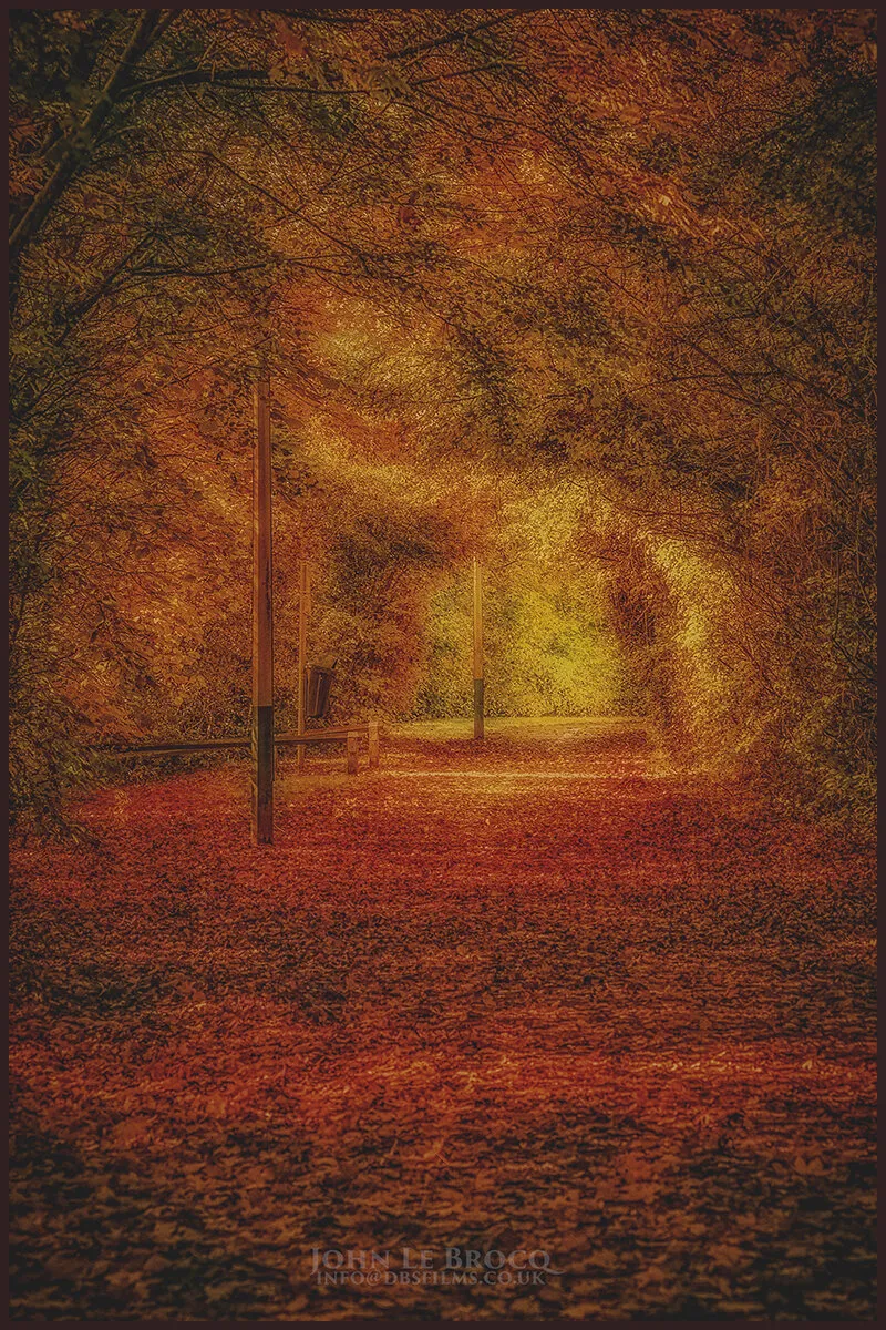 Entry 10912230