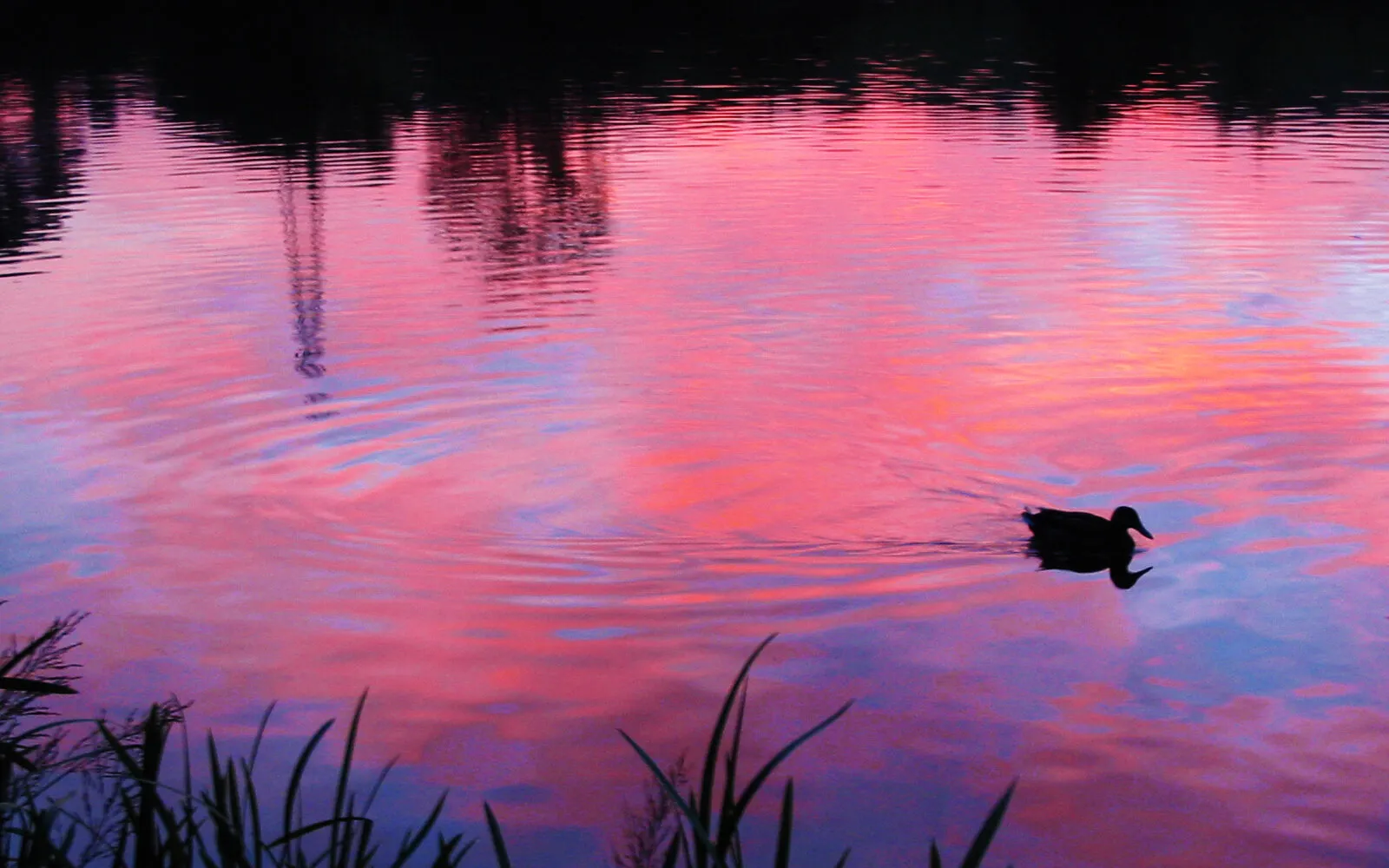 Red Sky at Night.