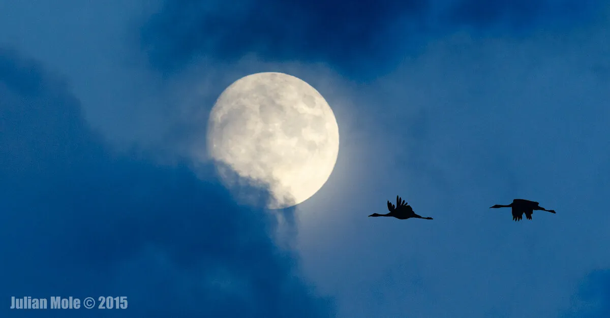 I'd Follow You To The Moon And Back.