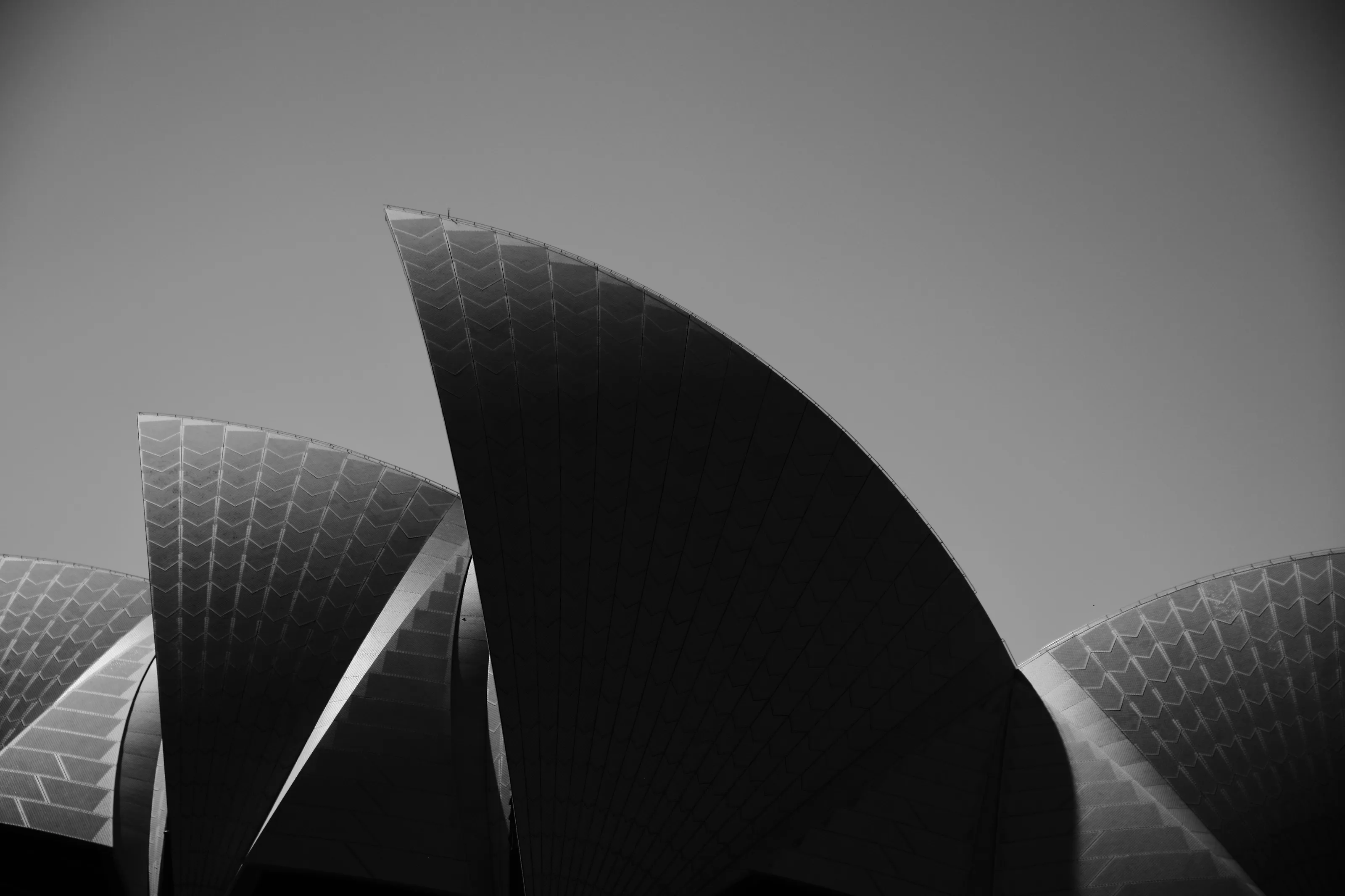 The Opera House