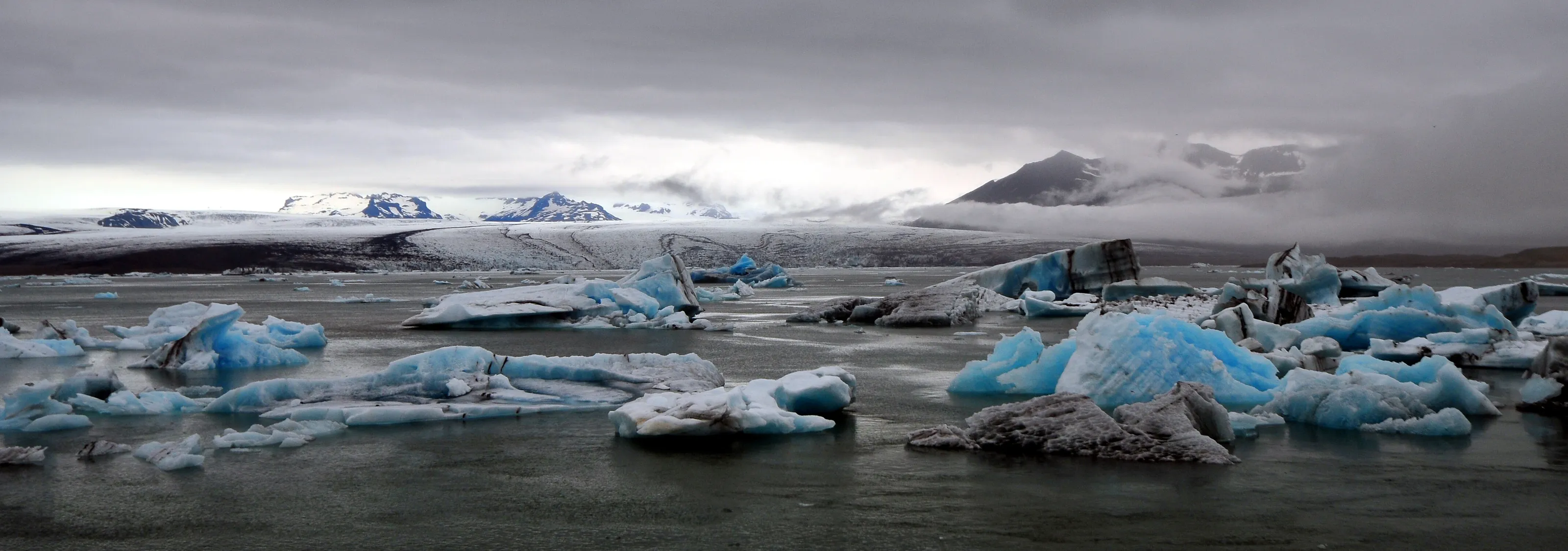 Icebergs in meltwater lagoon.