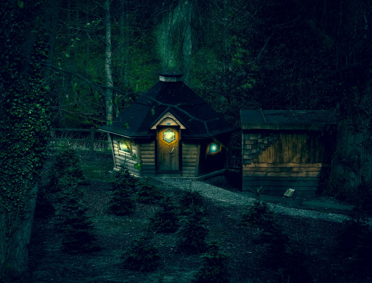 Entry 2071895