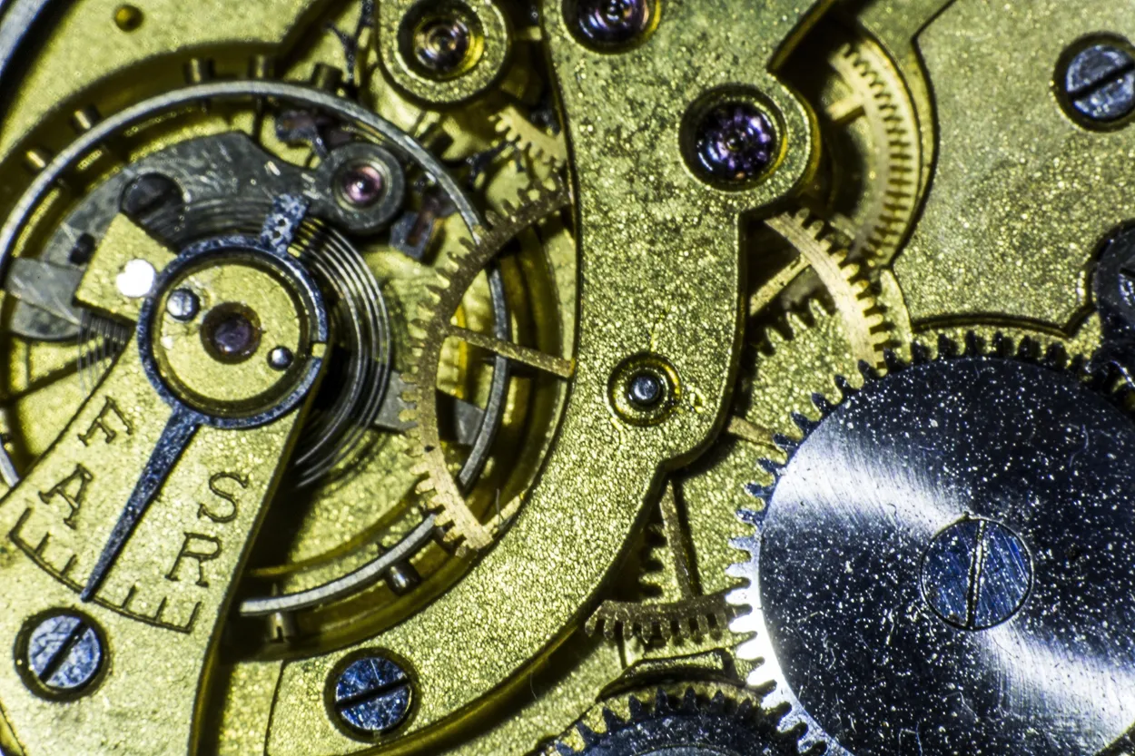 Entry 9849354