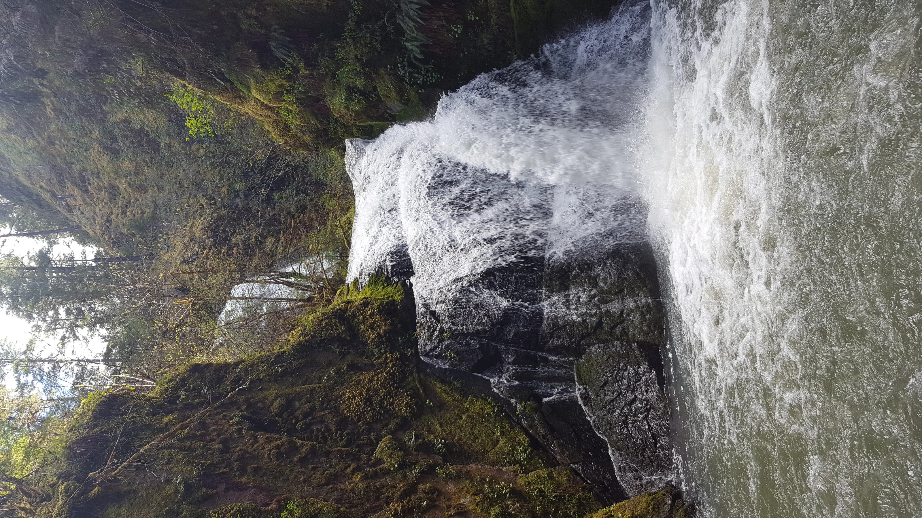 Wolf creek falls