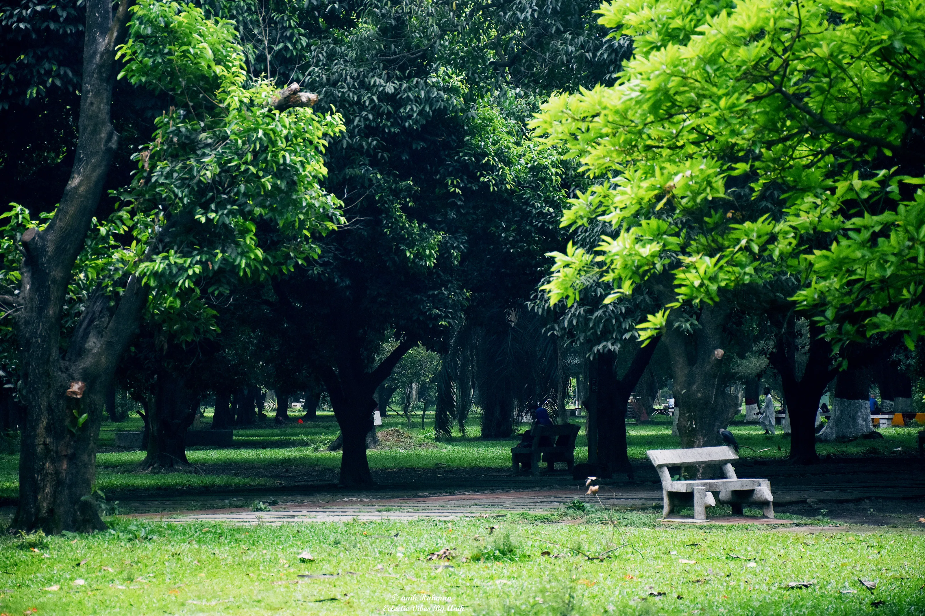 An empty seat !