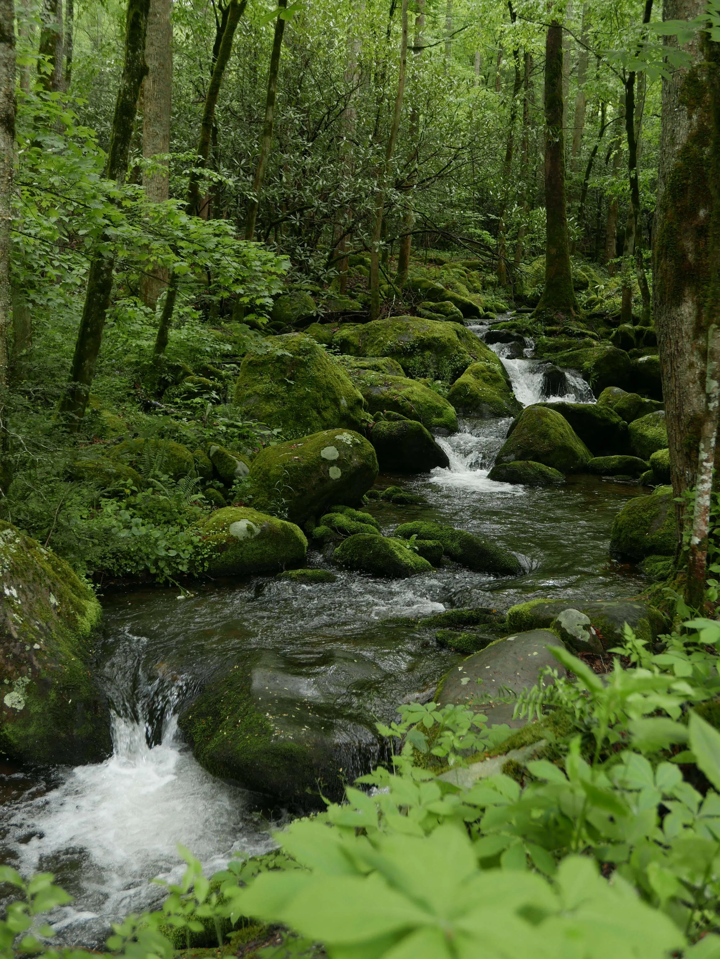creek