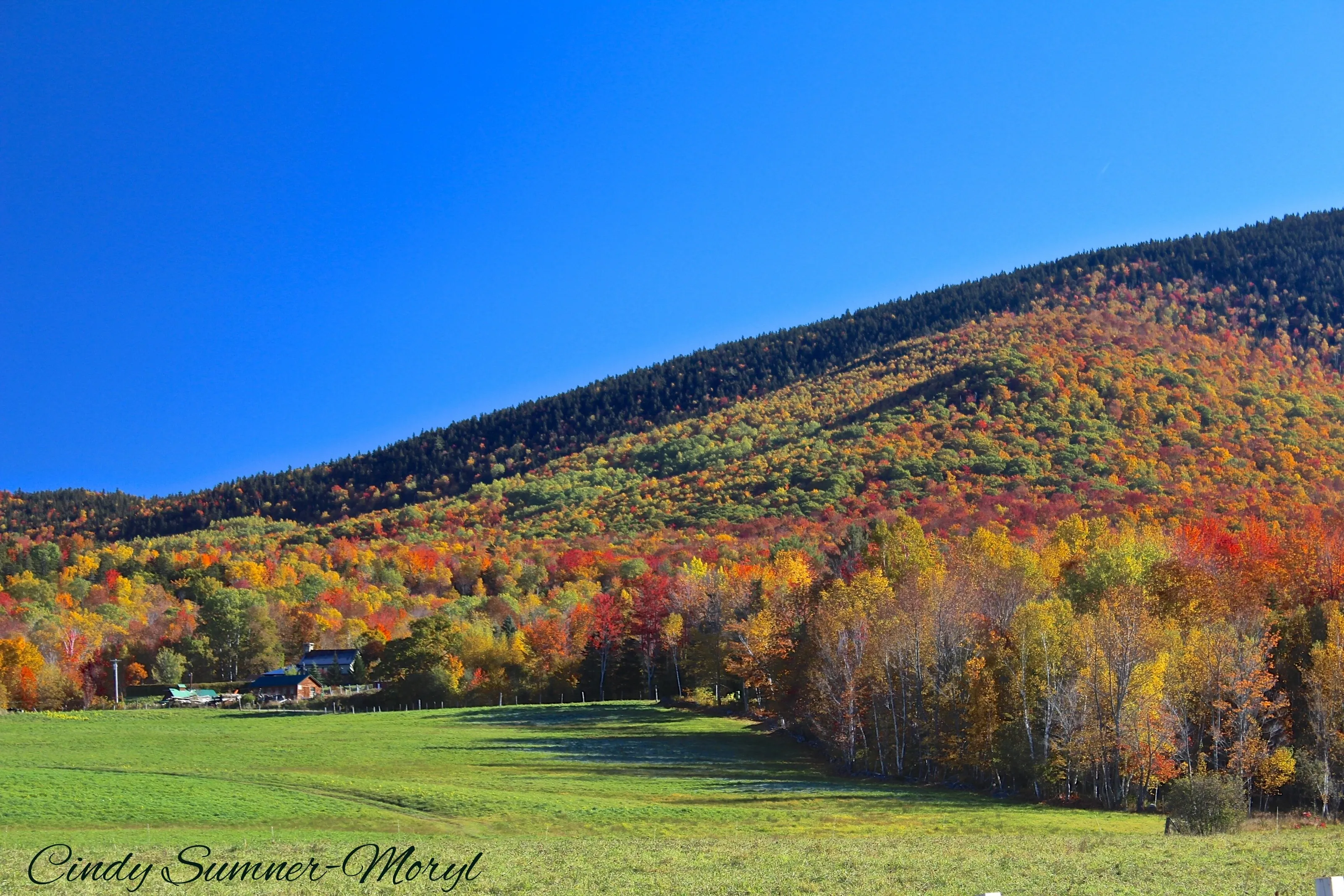 Black Mountain