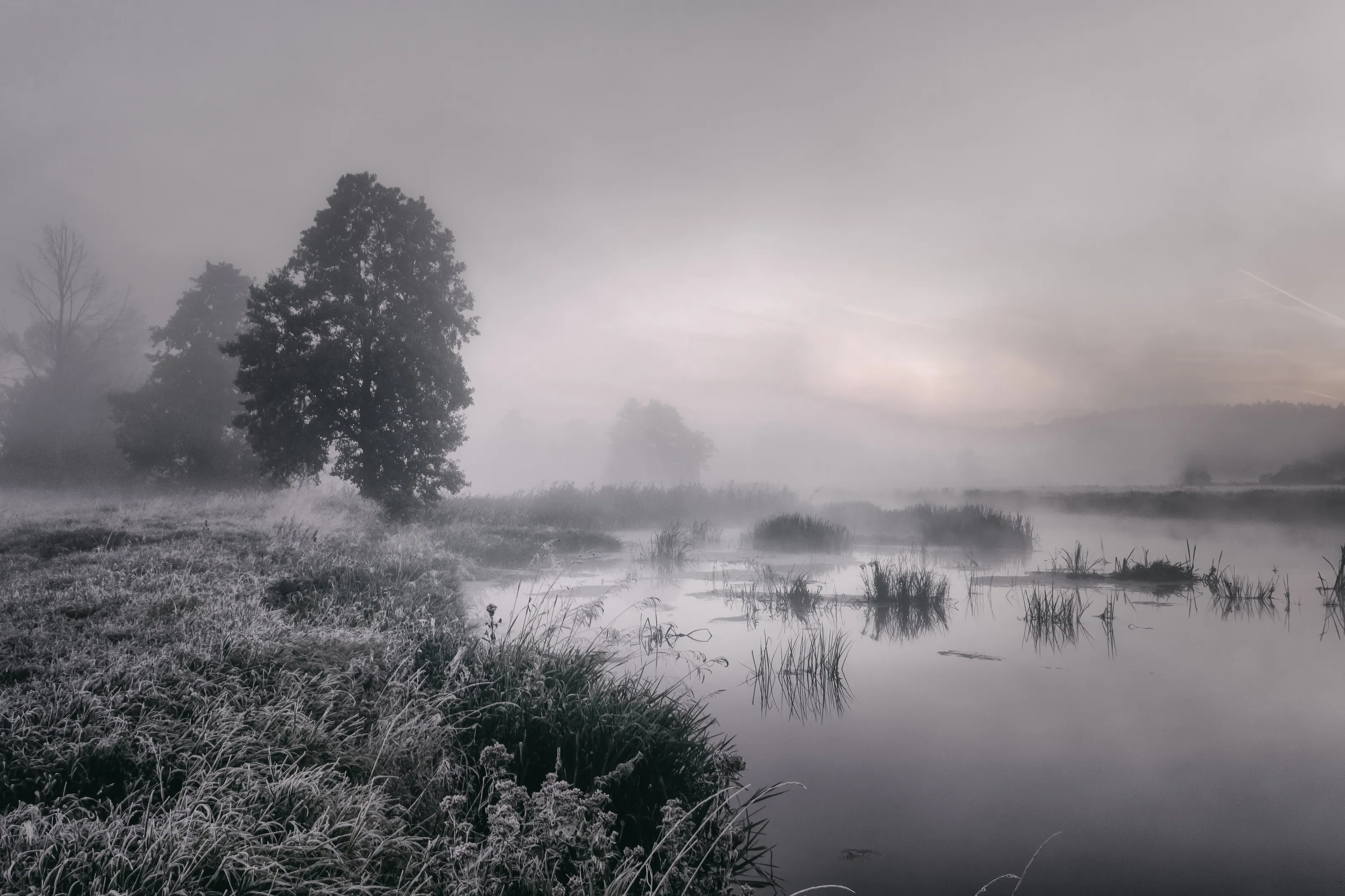 Autumn frost