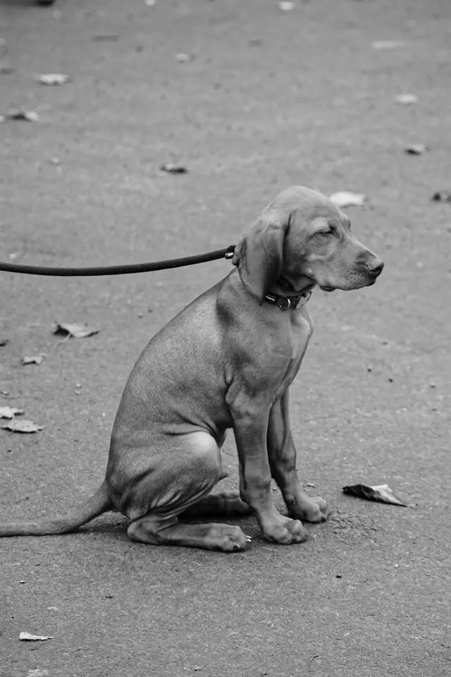 Waiting for master
