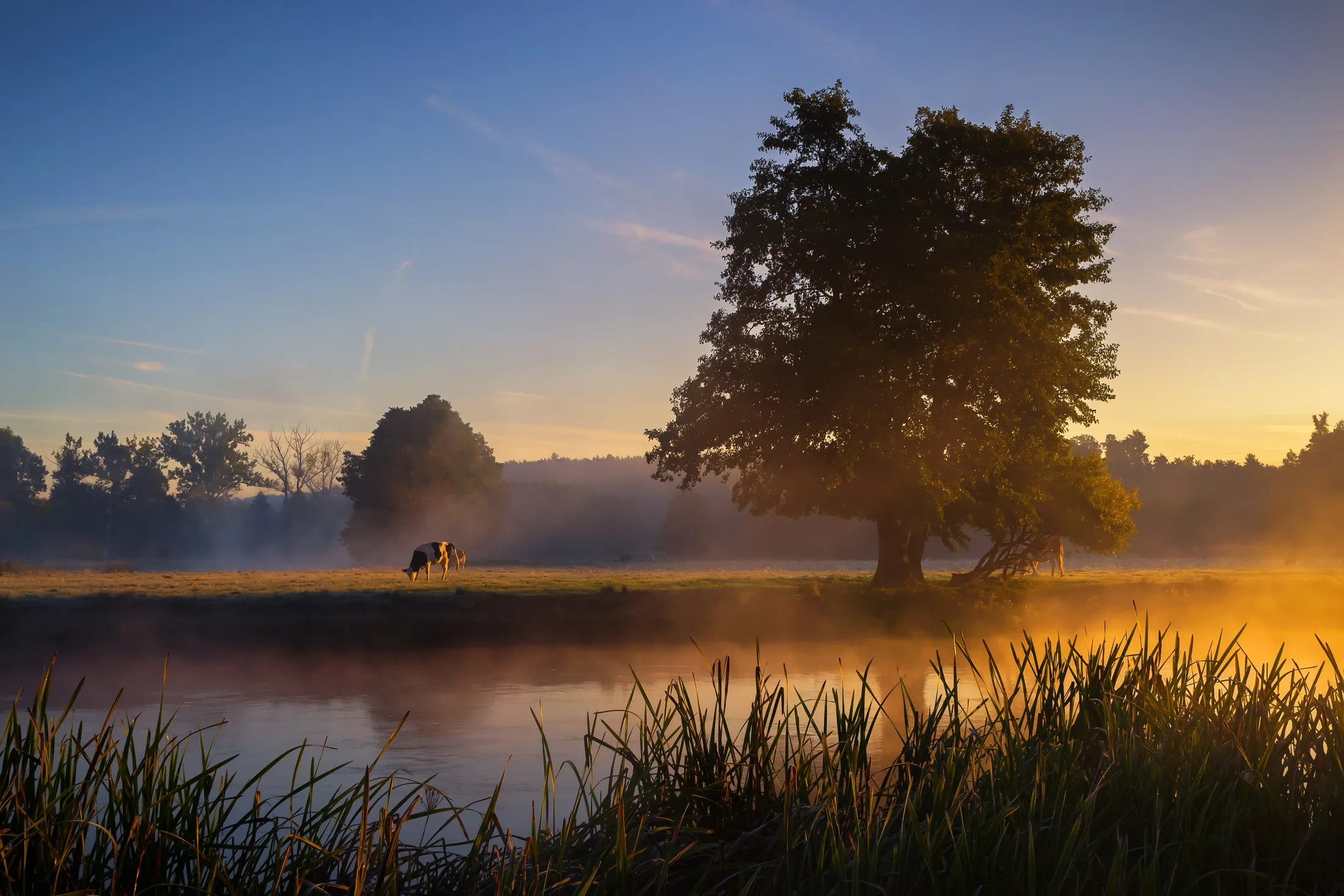 In the morning