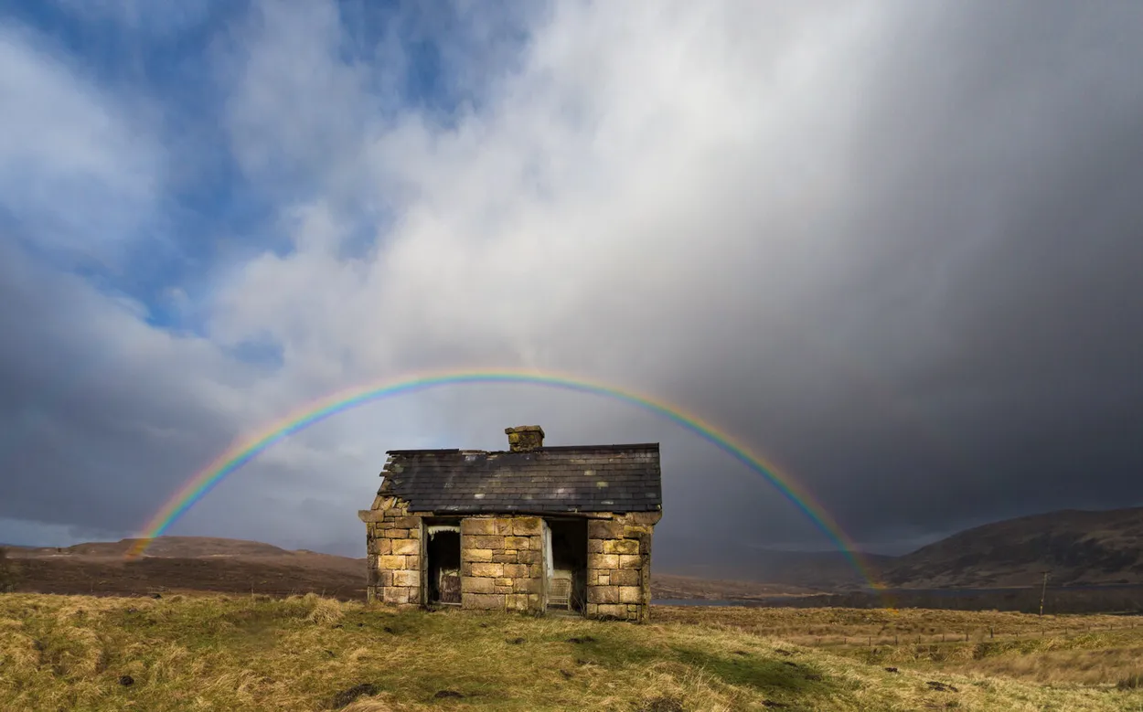 Entry 6699445