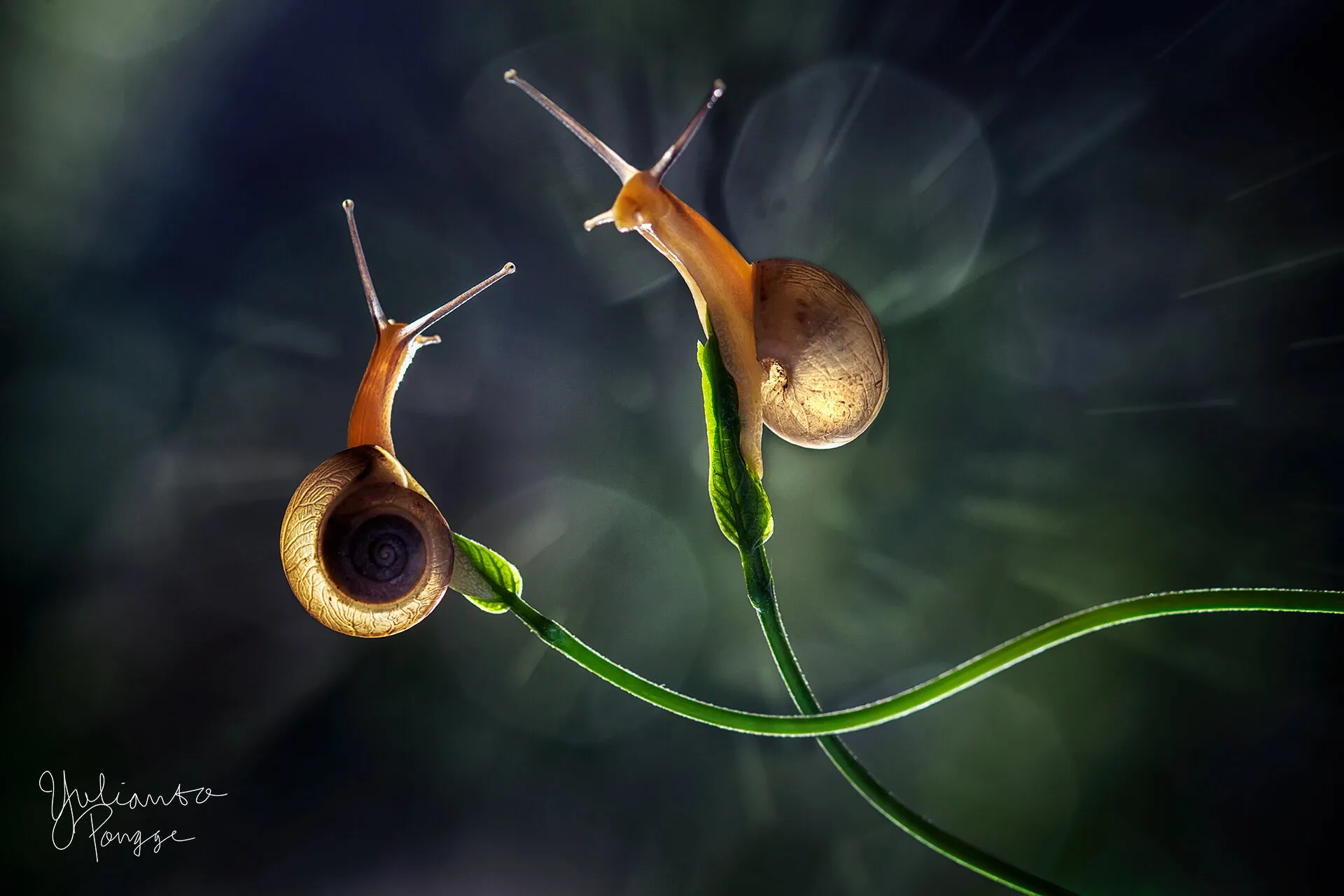 two