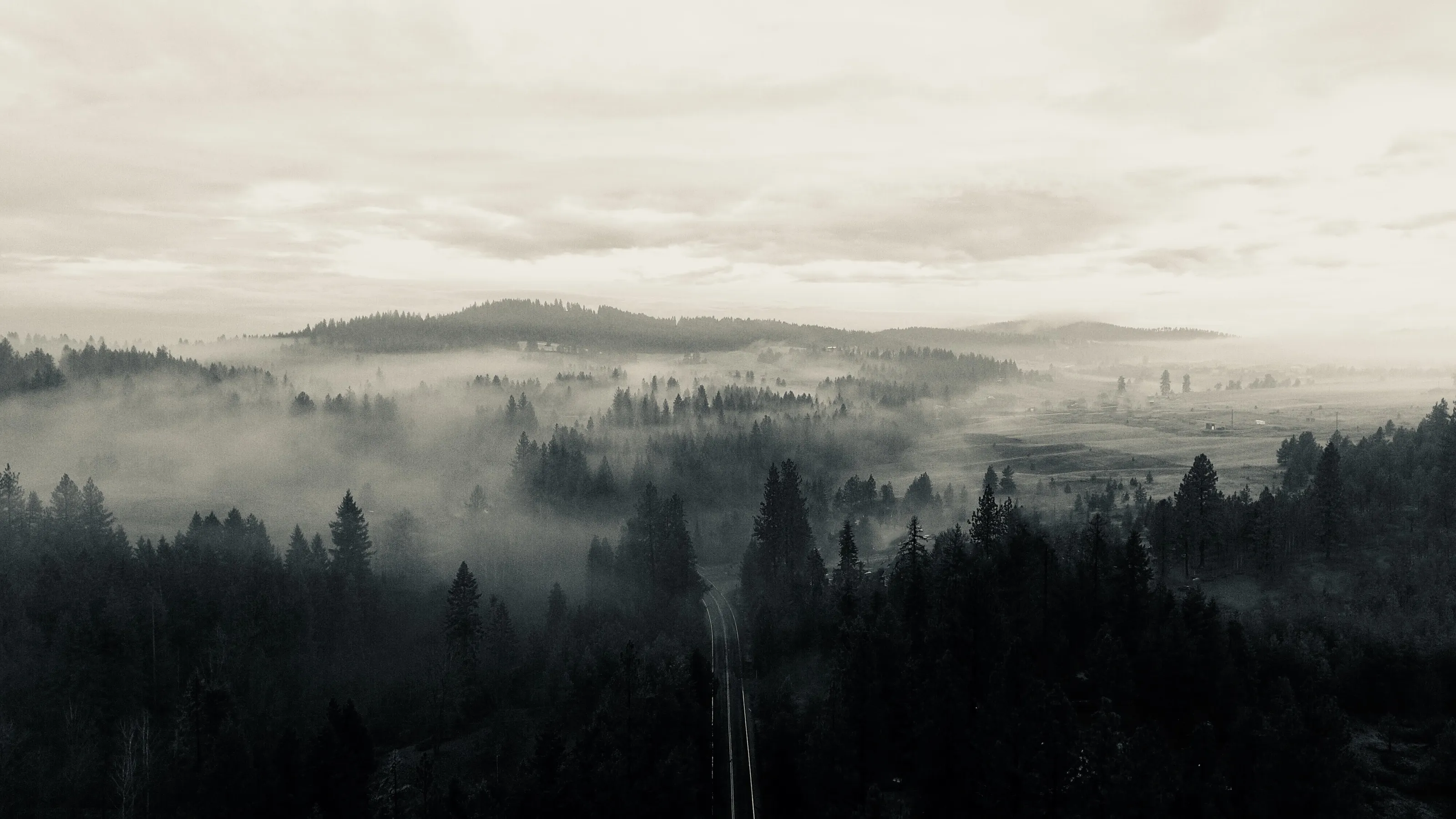Beautiful fog