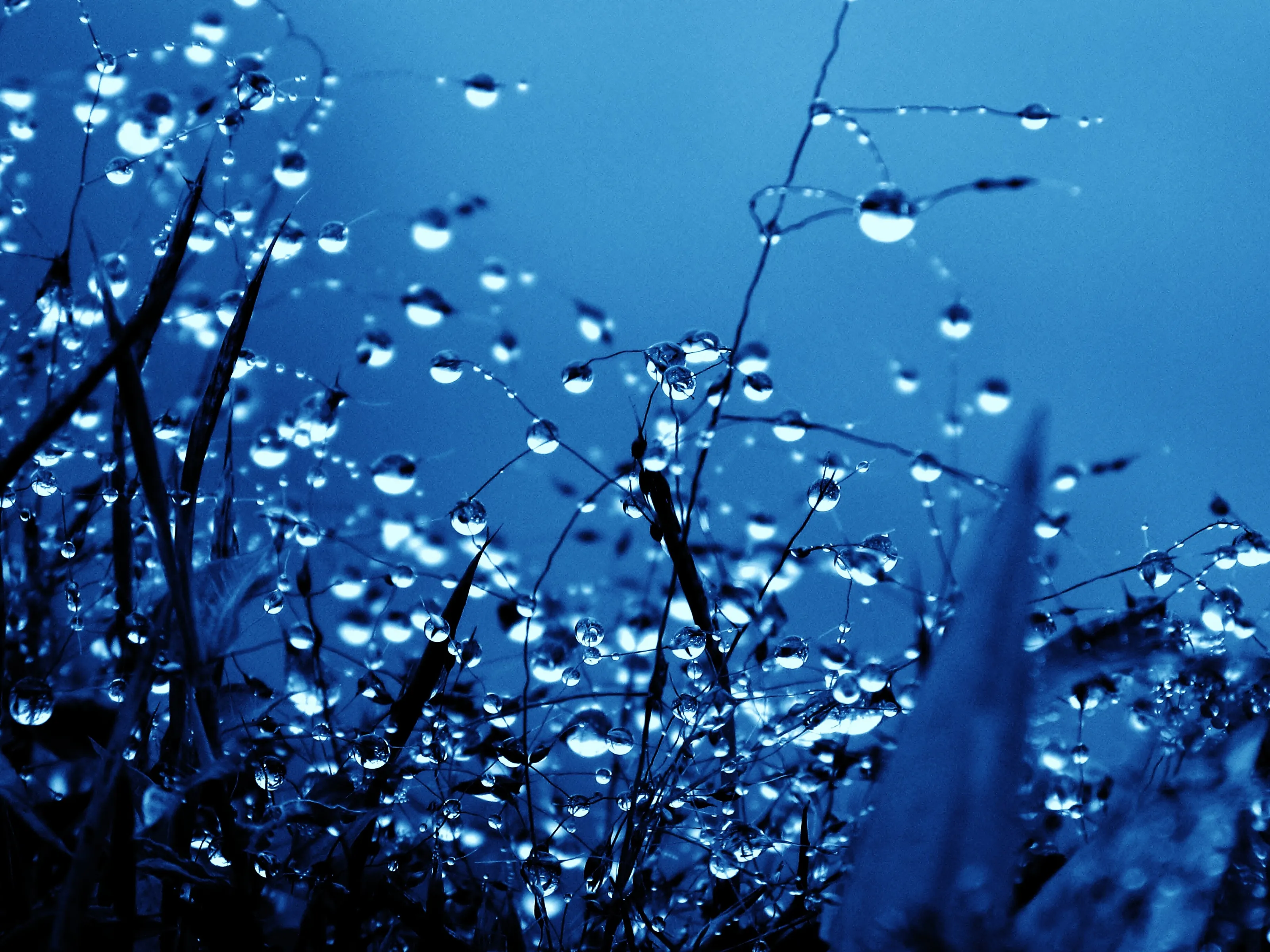 Bluetone