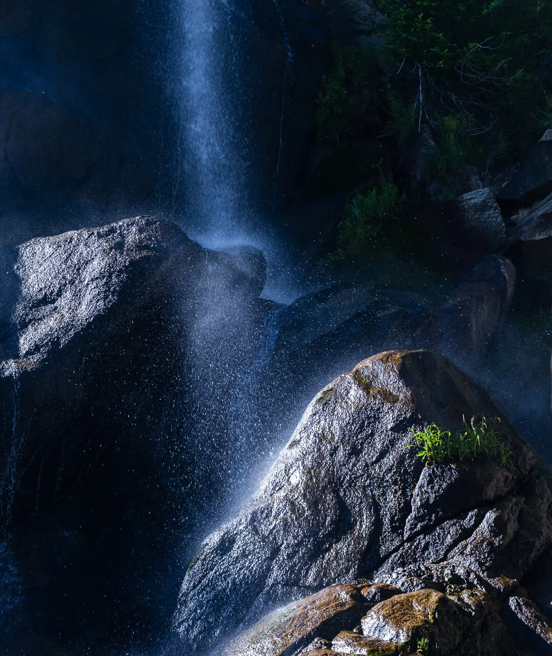 Grizzly Falls
