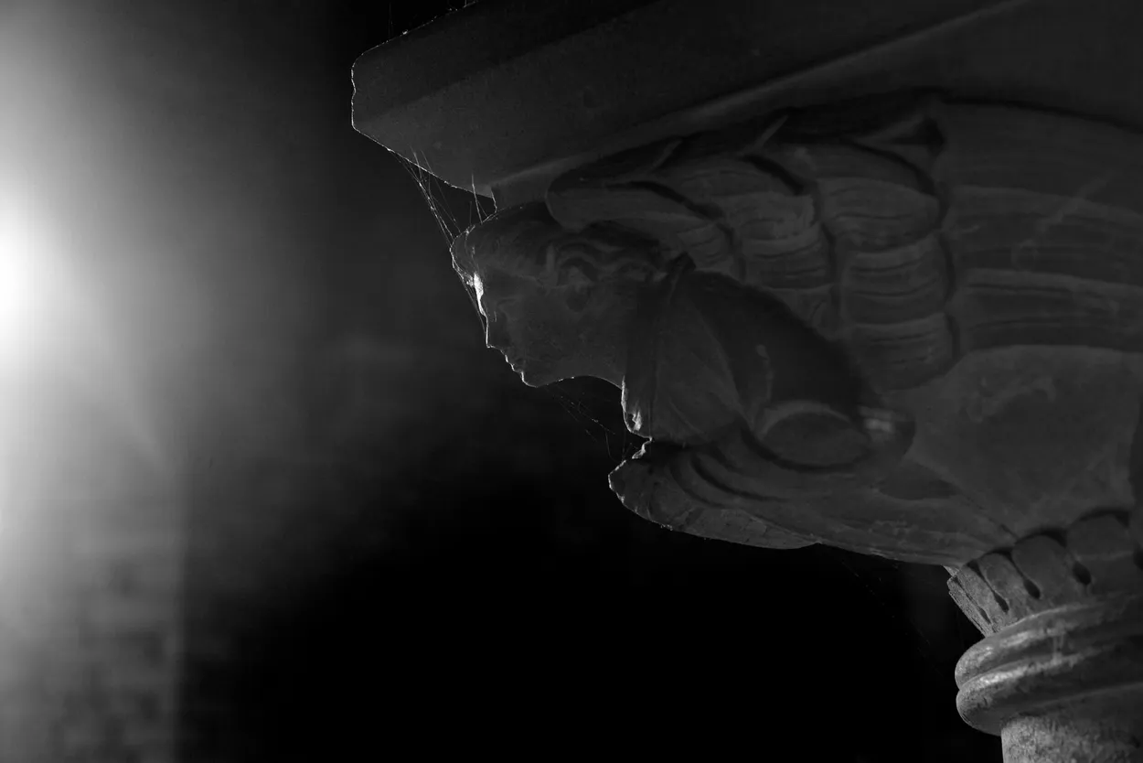 Looking towards the light