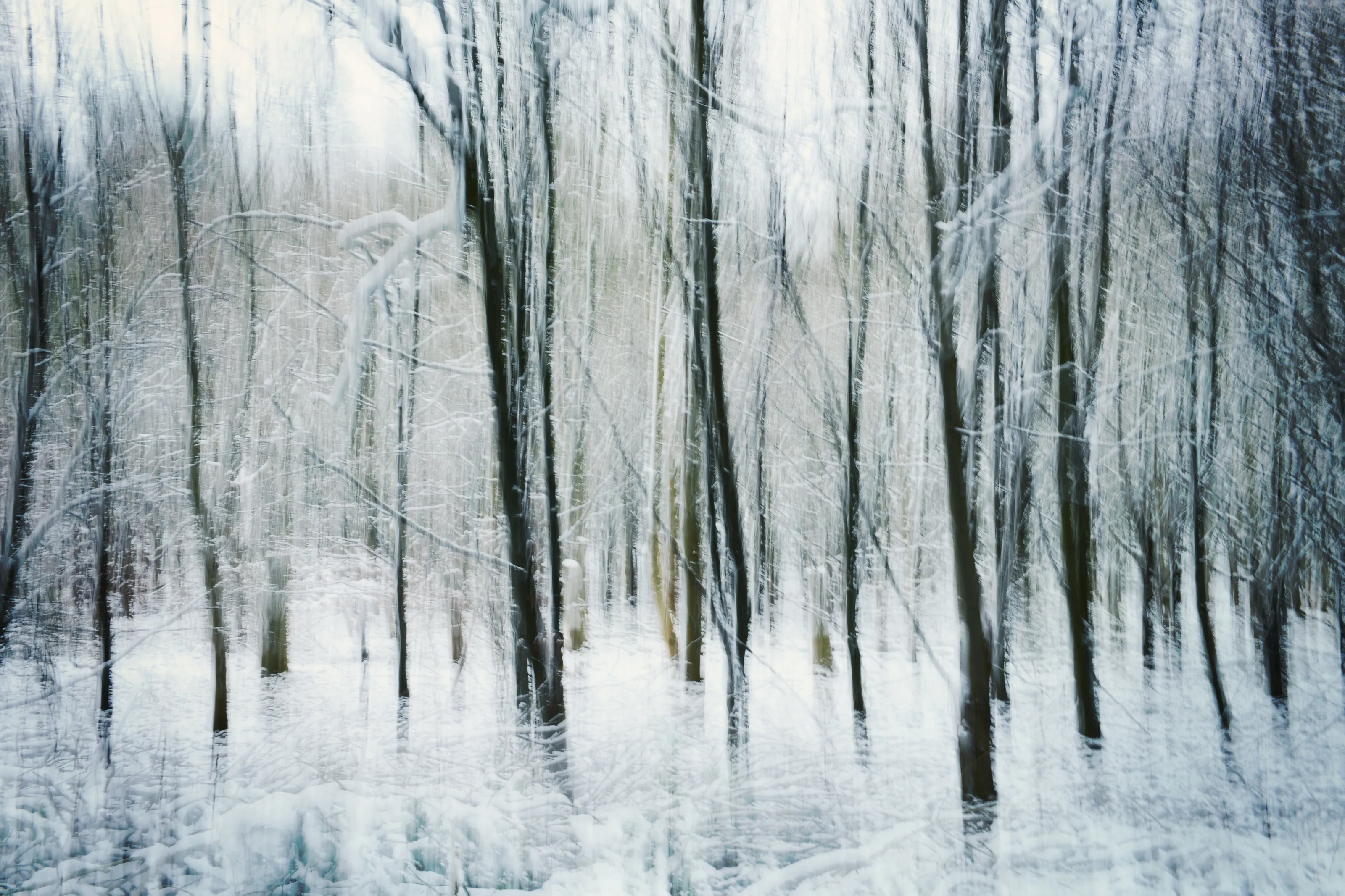 Winter woods - Nikon D800 24-70 lens f22 iso 100 44mm