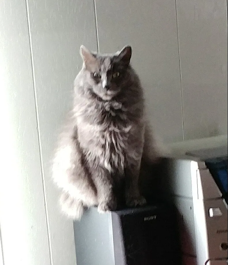 Statue