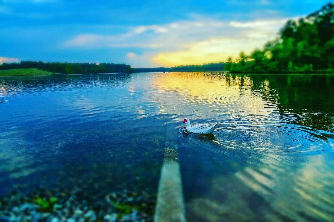 BREATH