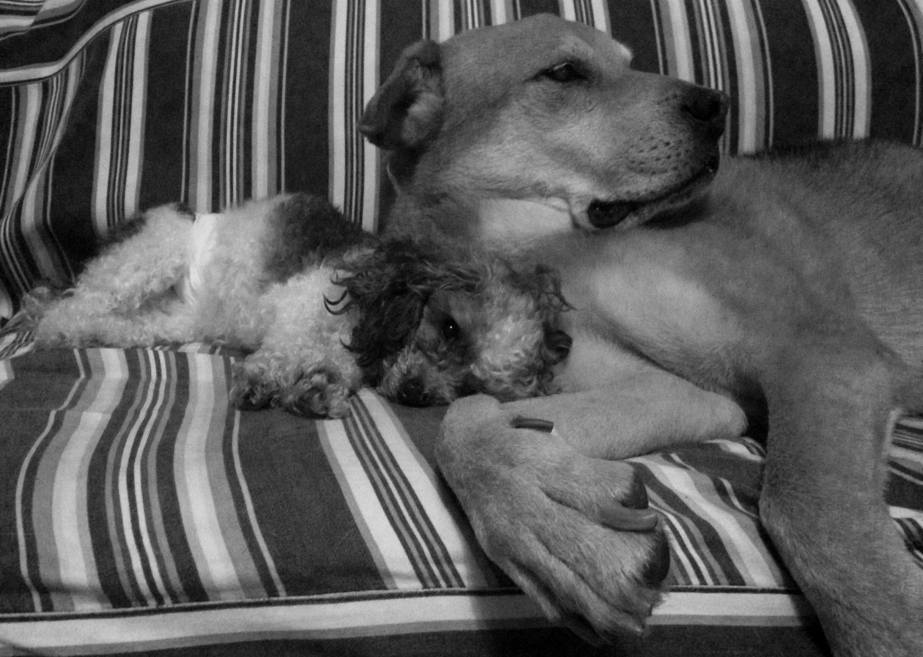 Resting
