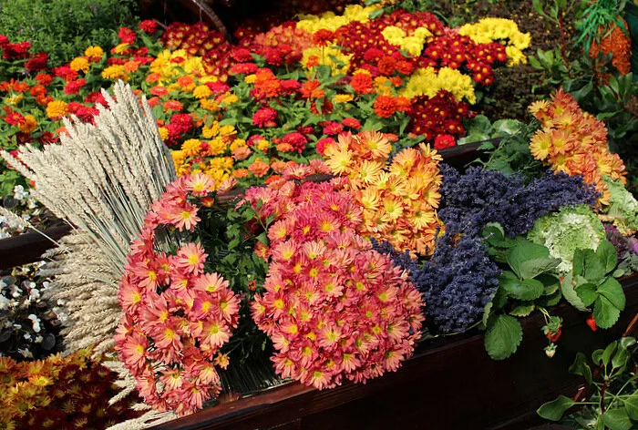 The Banquet